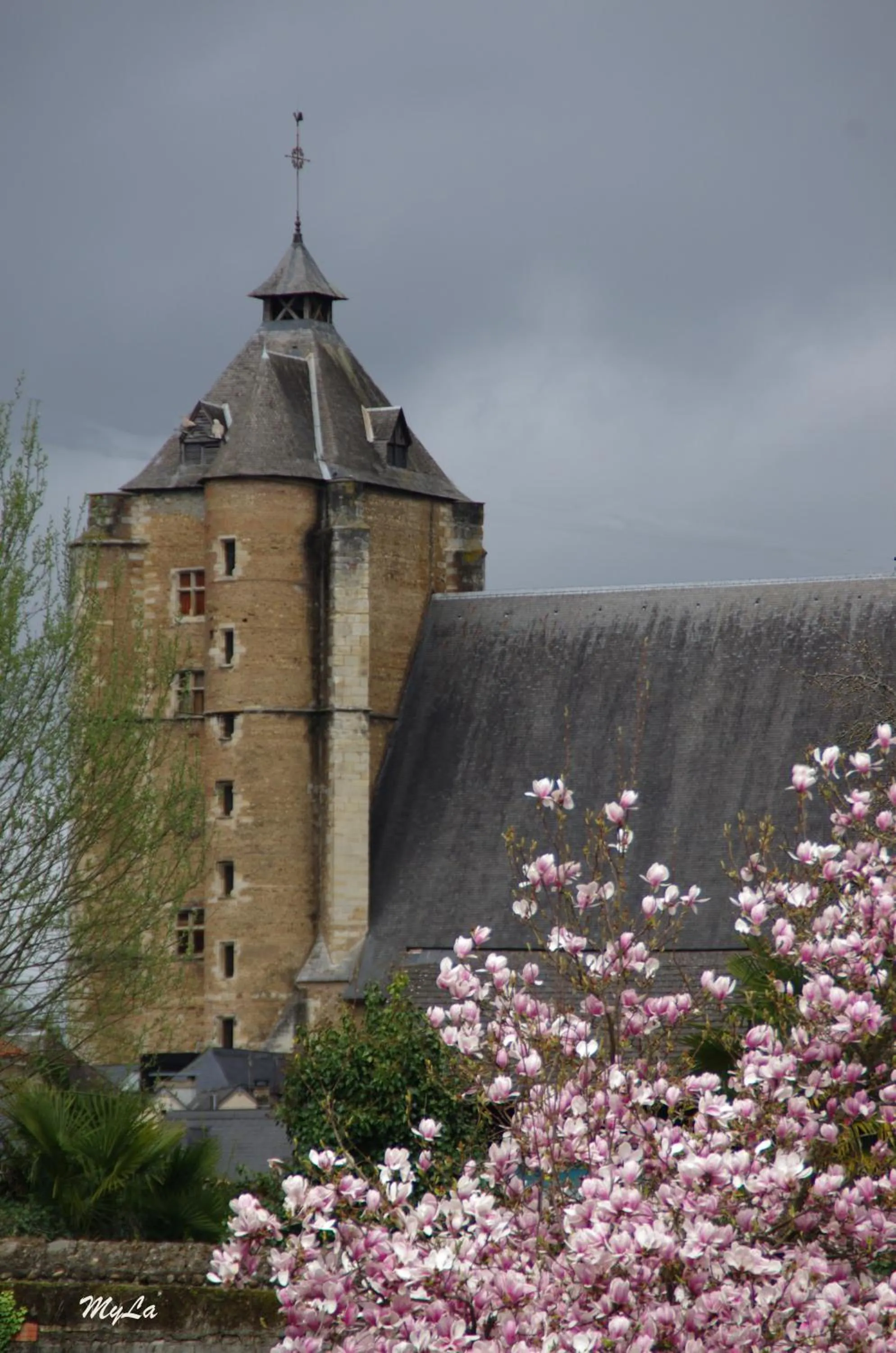 Nearby landmark in Pesaulhé