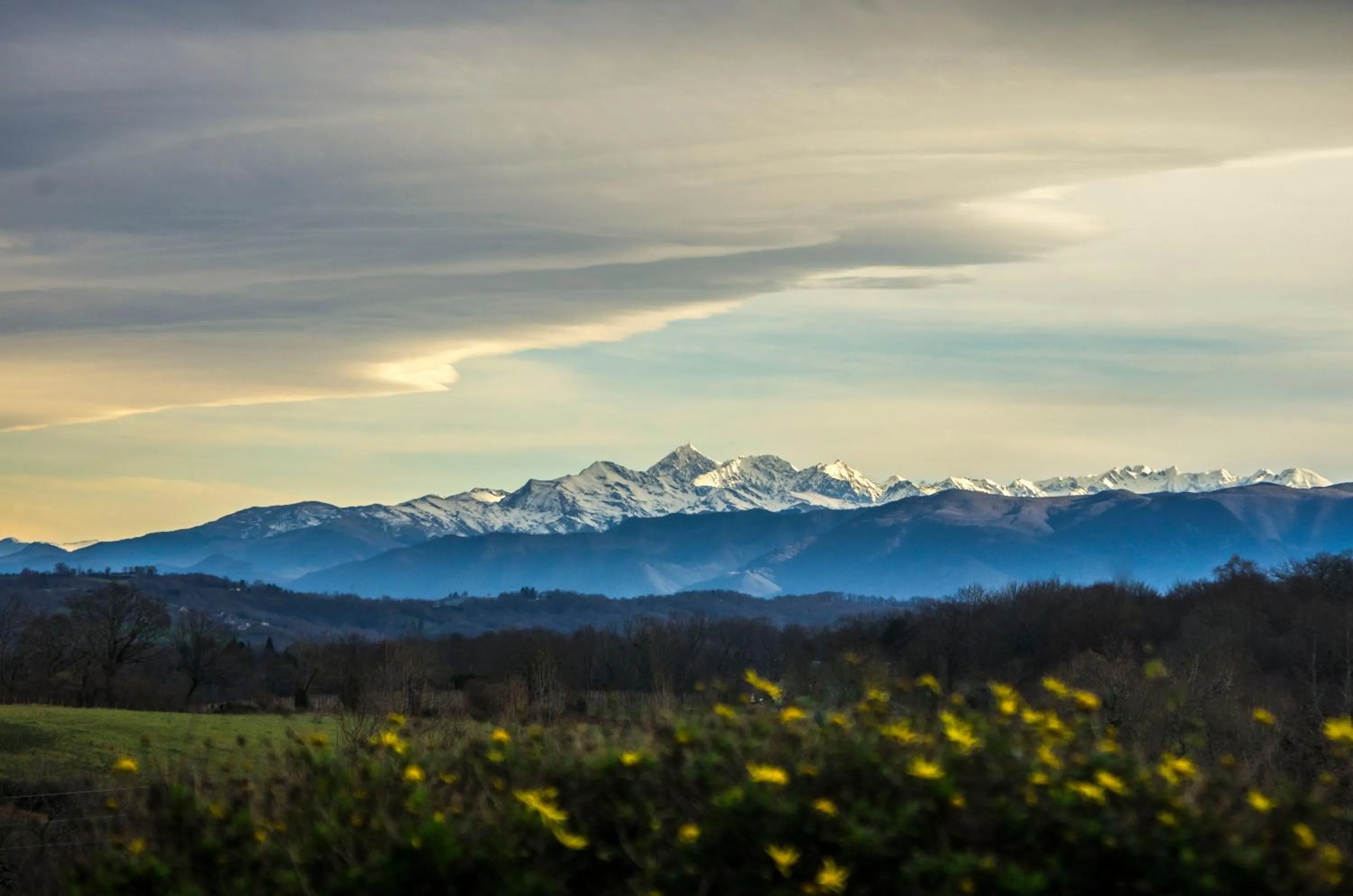Natural landscape in Pesaulhé