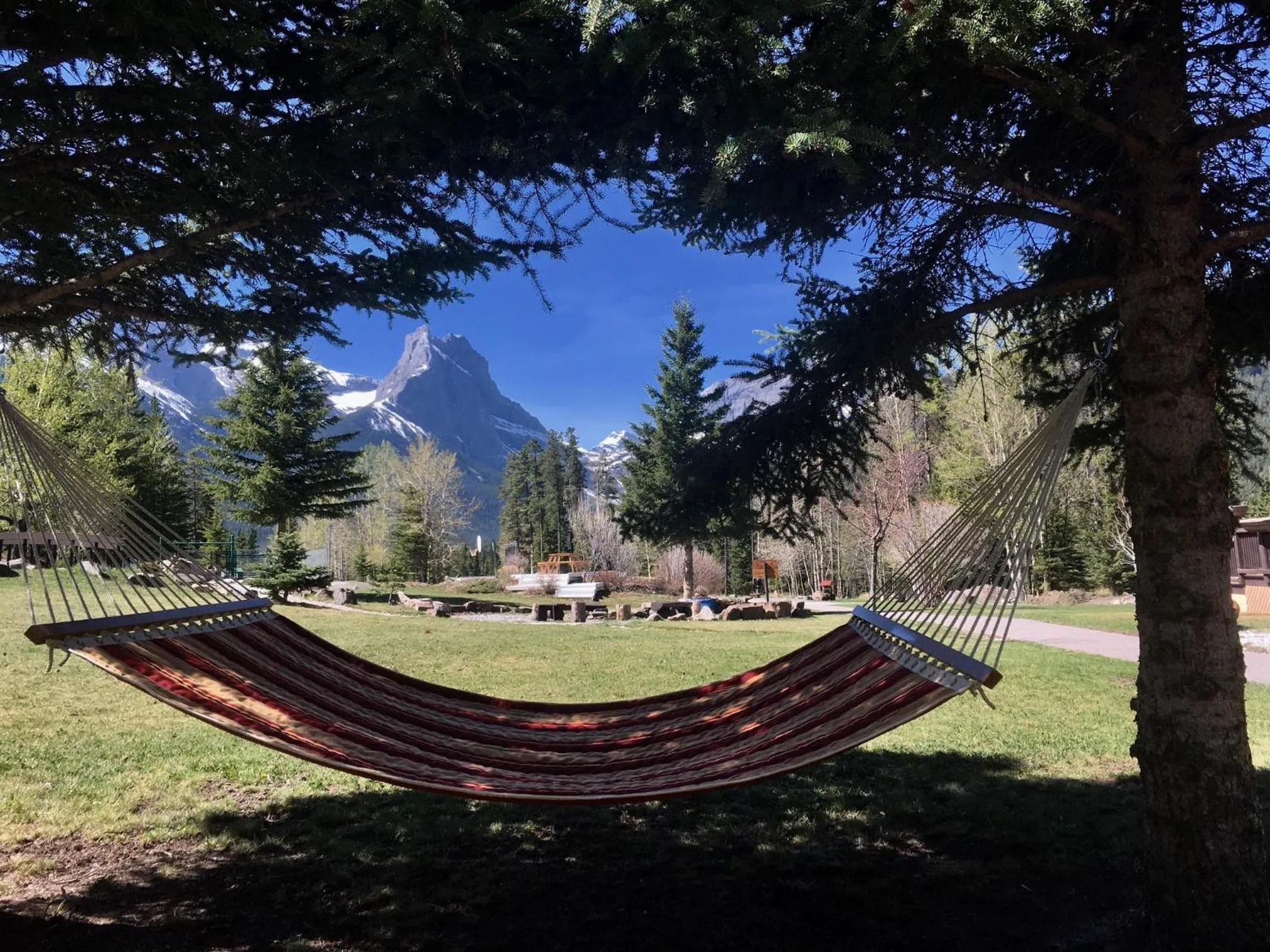 View (from property/room) in Banff Gate Mountain Resort