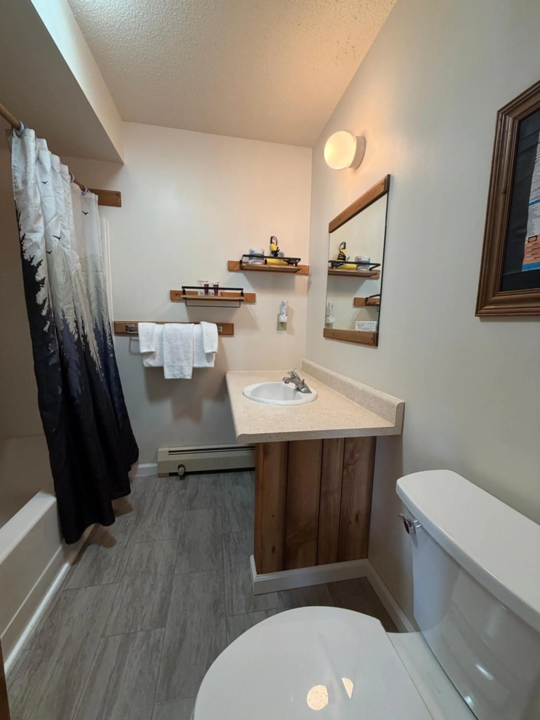 Toilet in Mountain Sports Inn