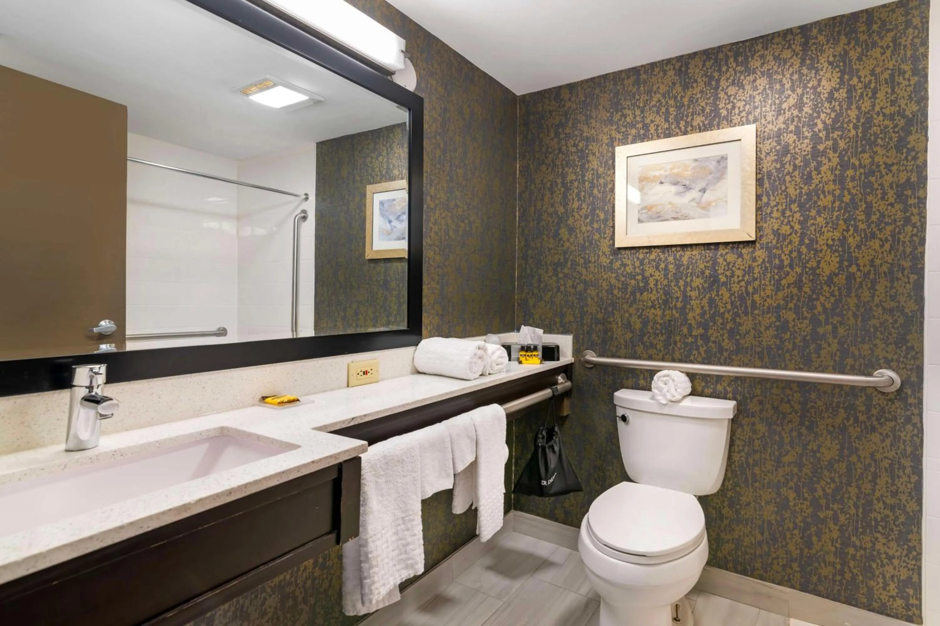 Bathroom in Best Western Plus Landmark Inn