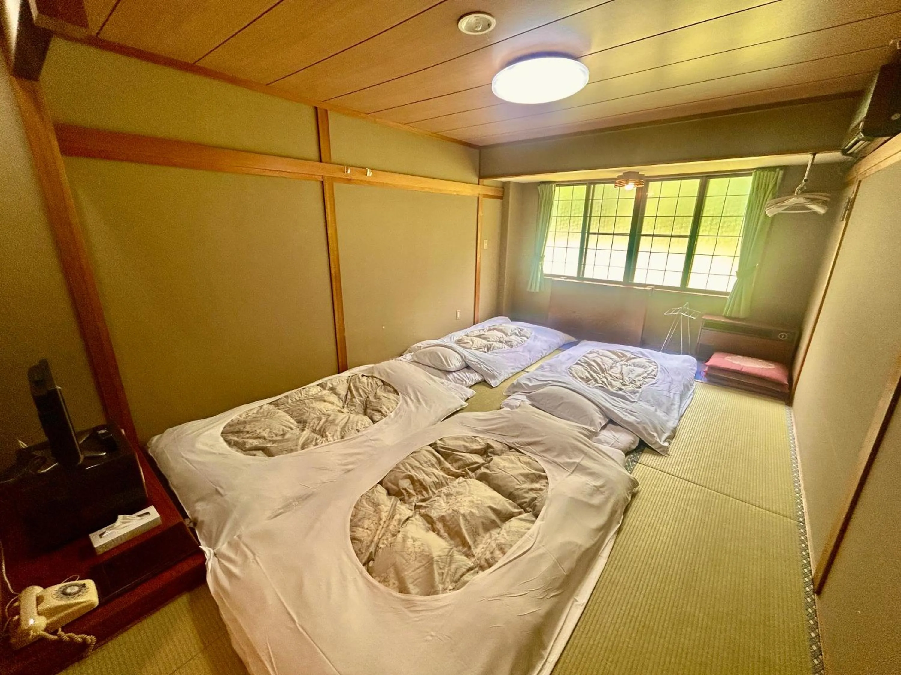 Photo of the whole room, Bed in Hakuba Park Hotel
