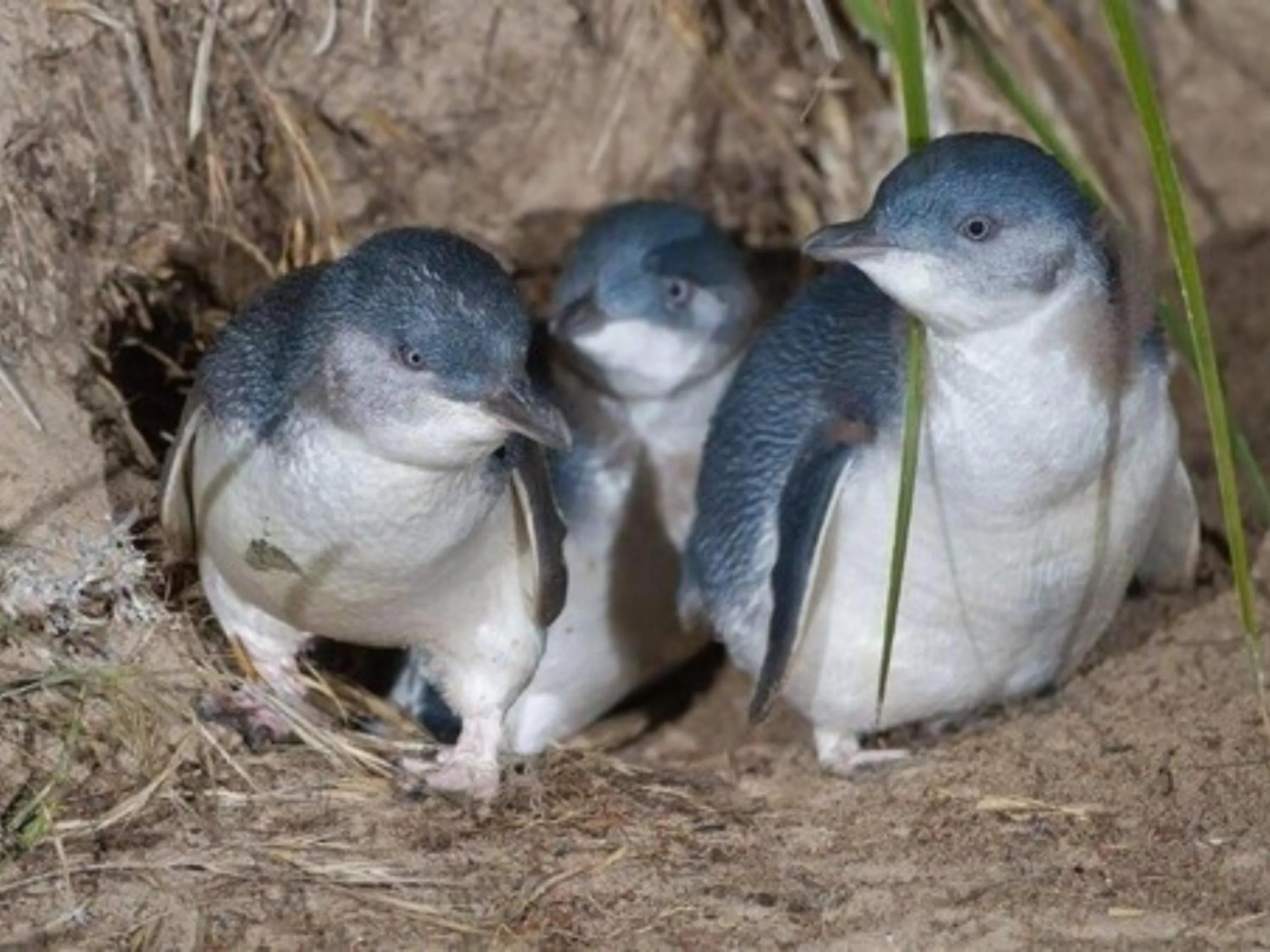 Property building in ASURE Avenue Motor Lodge