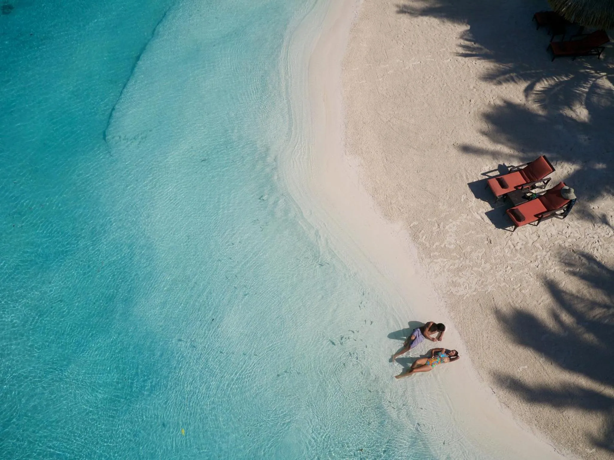 Beach in InterContinental Bora Bora & Thalasso Spa by IHG