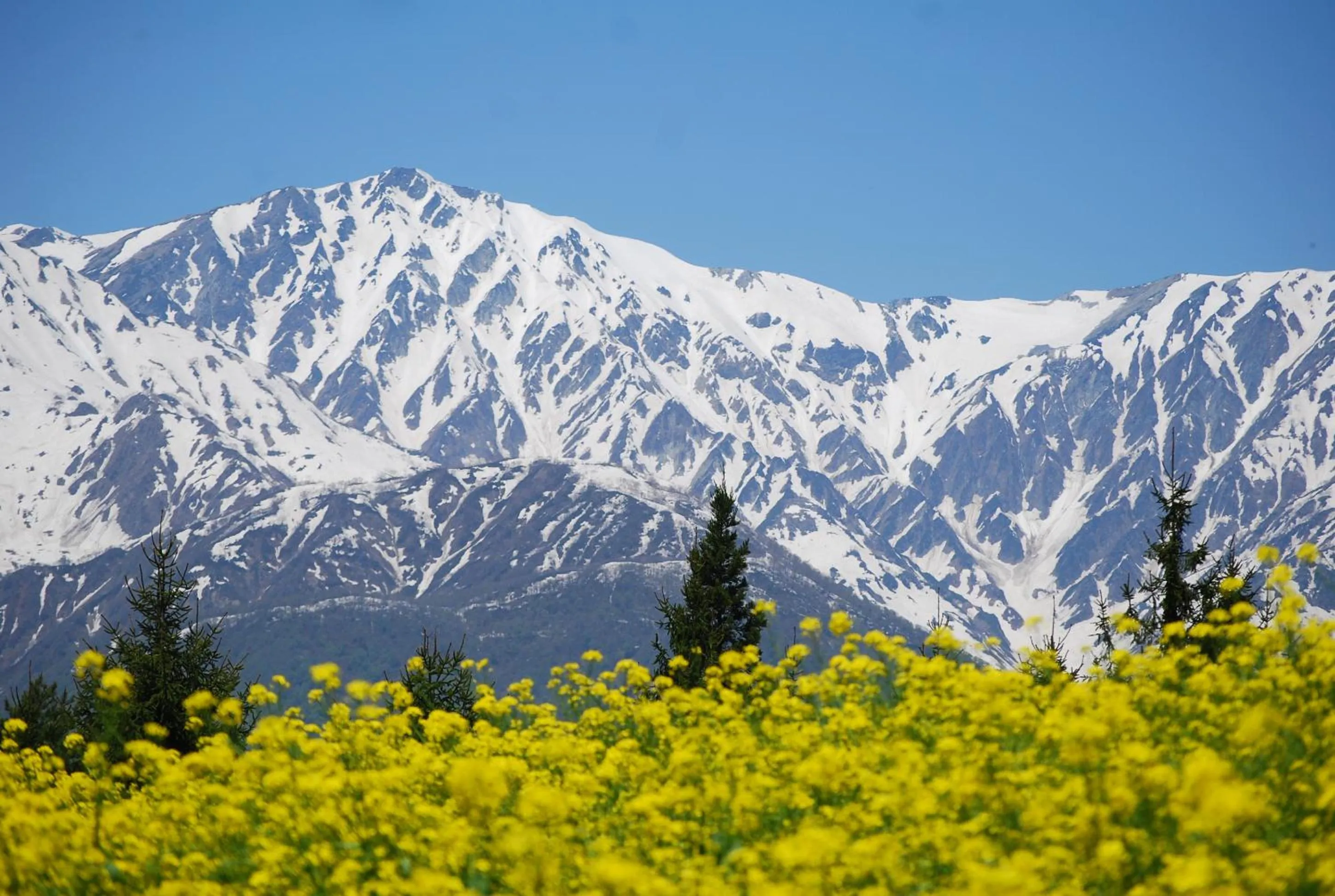 Nearby landmark in Hakuba Highland Hotel