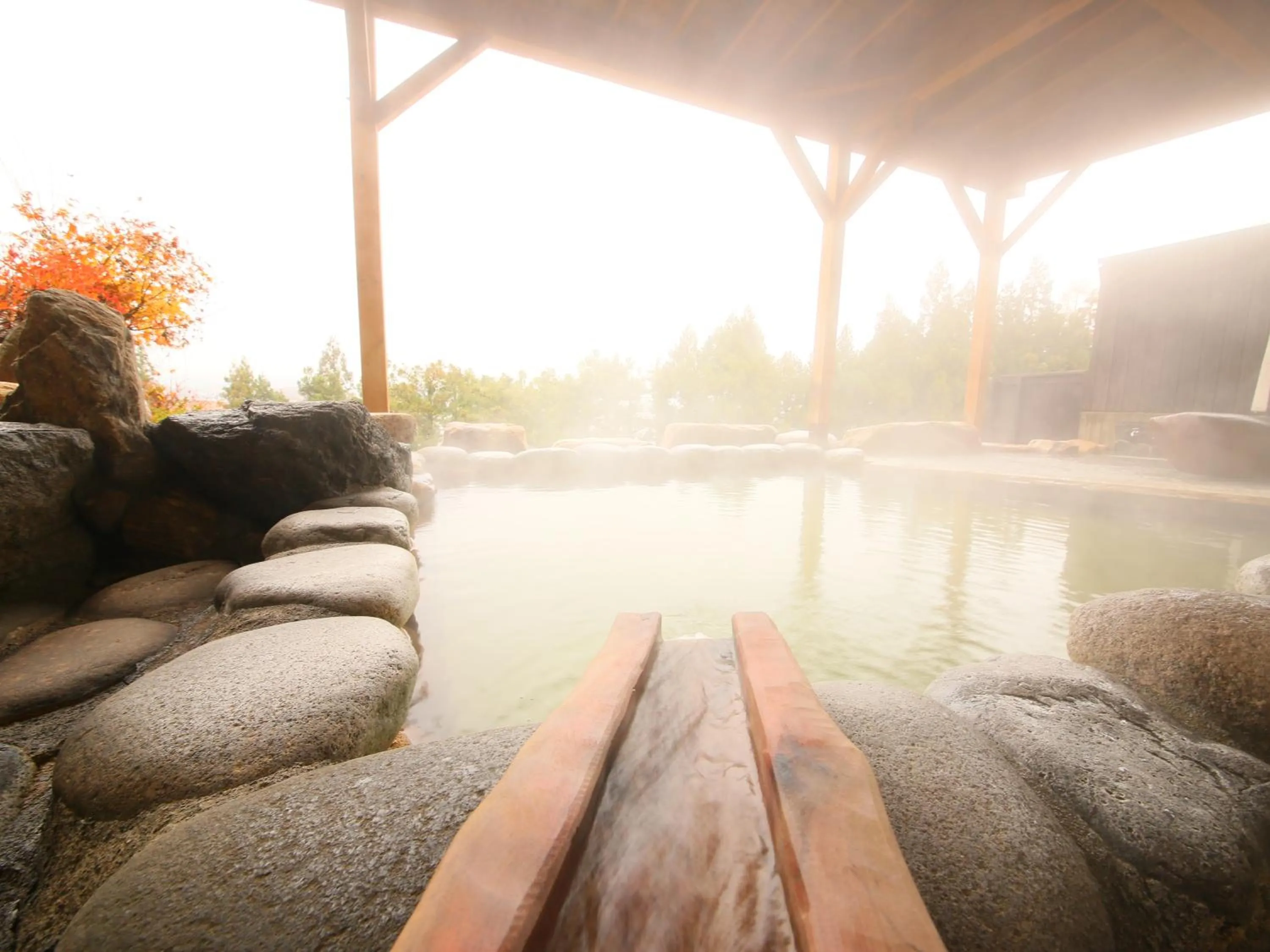 Day in Hakuba Highland Hotel