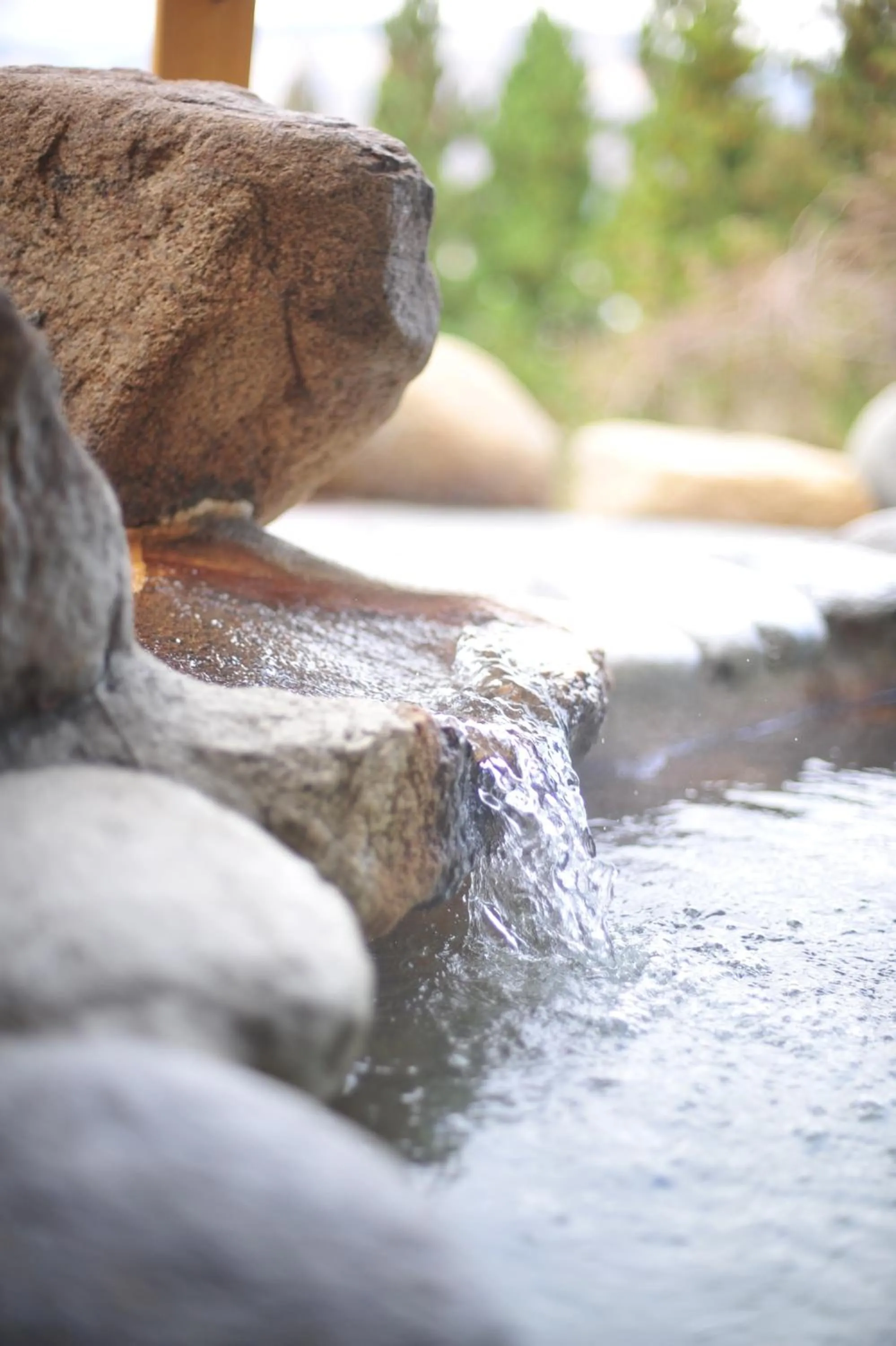 Hot Spring Bath in Hakuba Highland Hotel