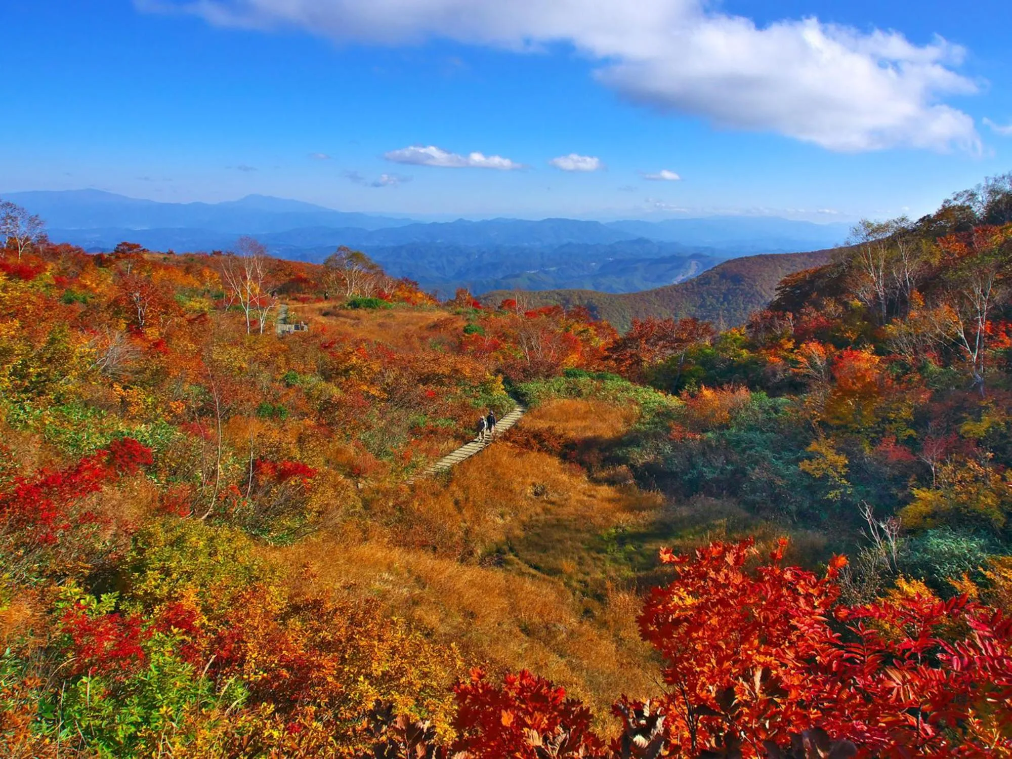 Nearby landmark in Hakuba Highland Hotel