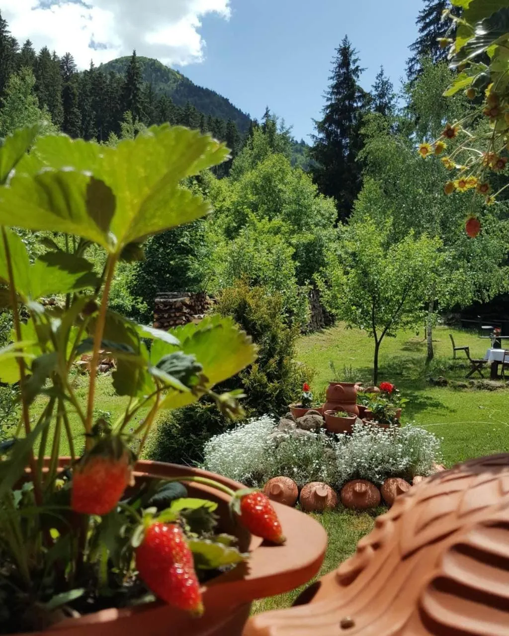 Garden in Fortuna Eco - Boutique Hotel
