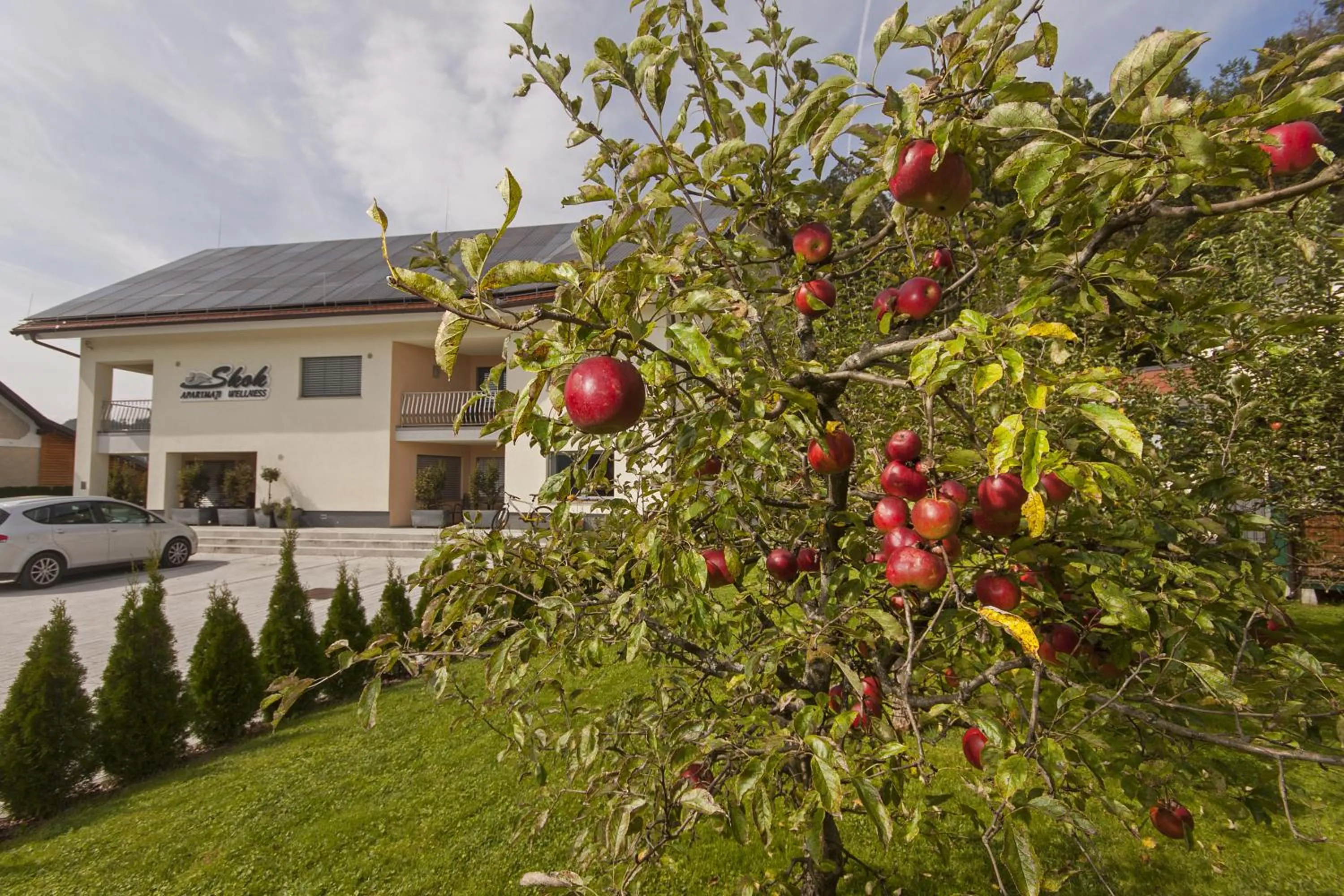 Property logo or sign in Apartments & Wellness Skok