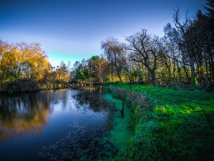 View (from property/room) in New Forest Lodges