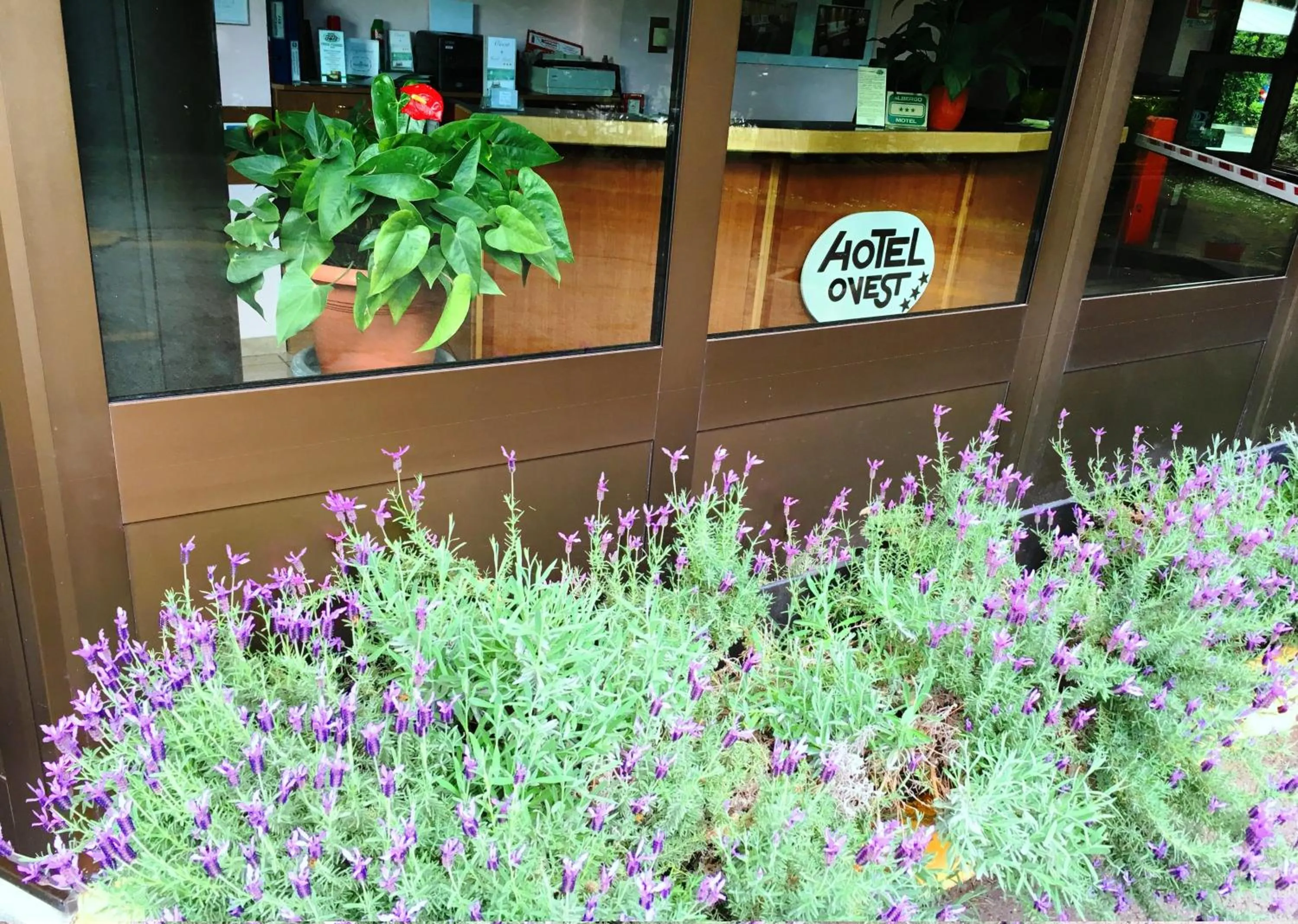 Garden in Hotel Motel Ovest