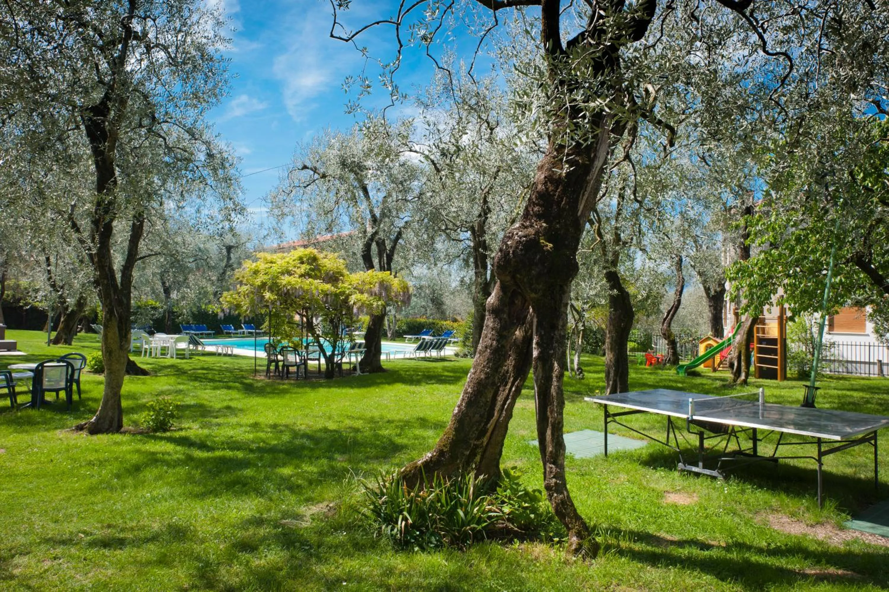 Garden in Hotel Augusta