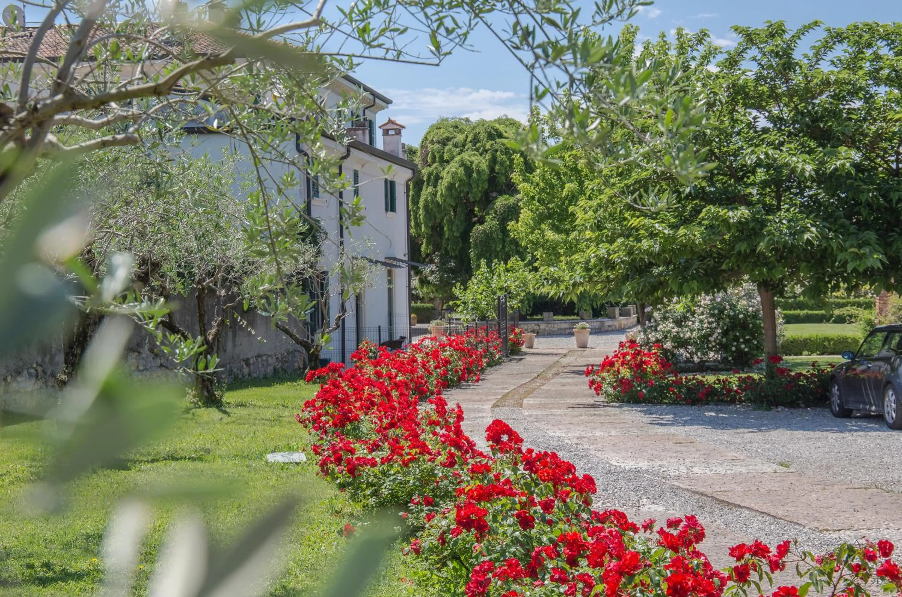 Summer in Villa Nichesola