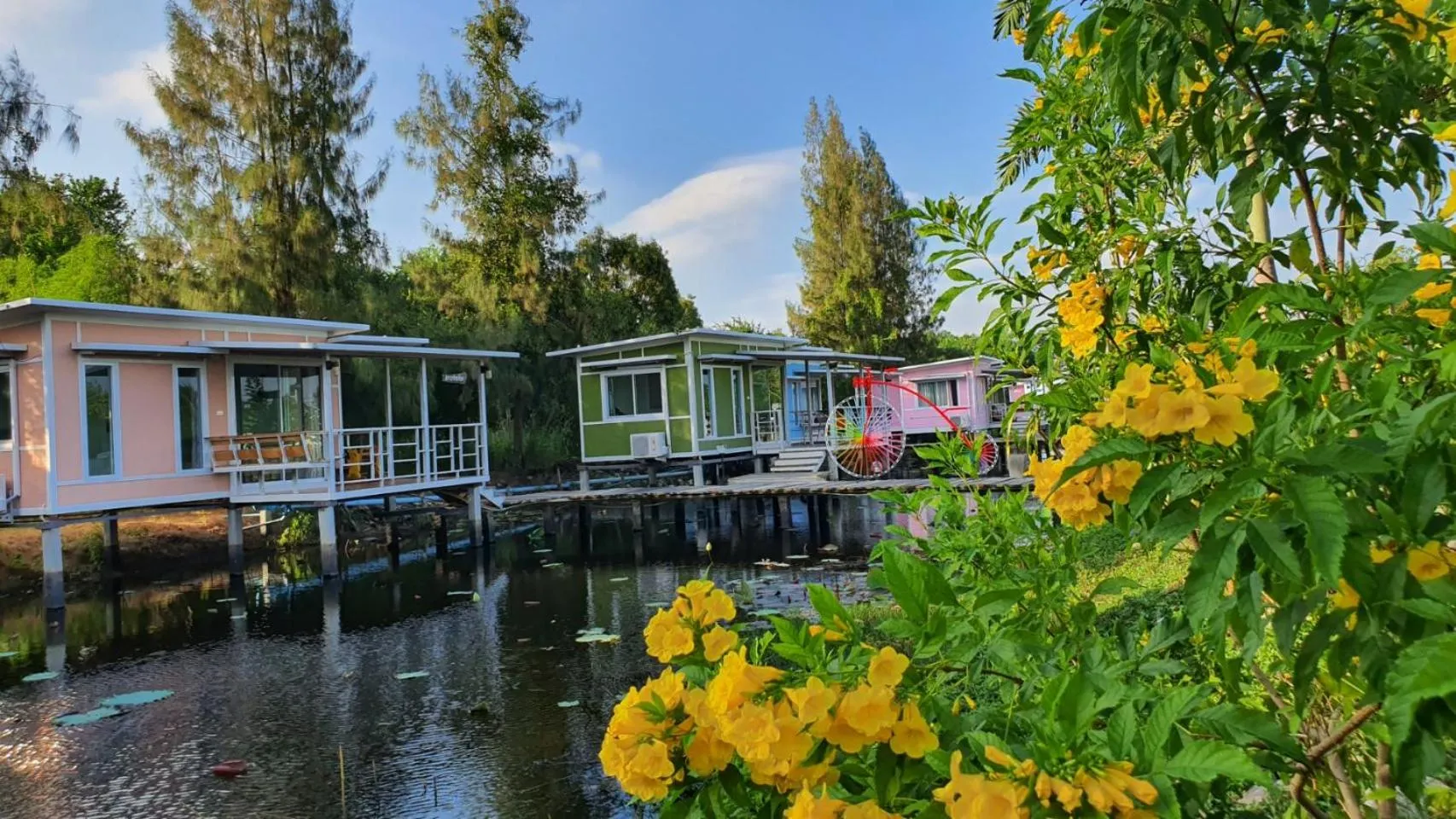View (from property/room) in Phalagoon Resort
