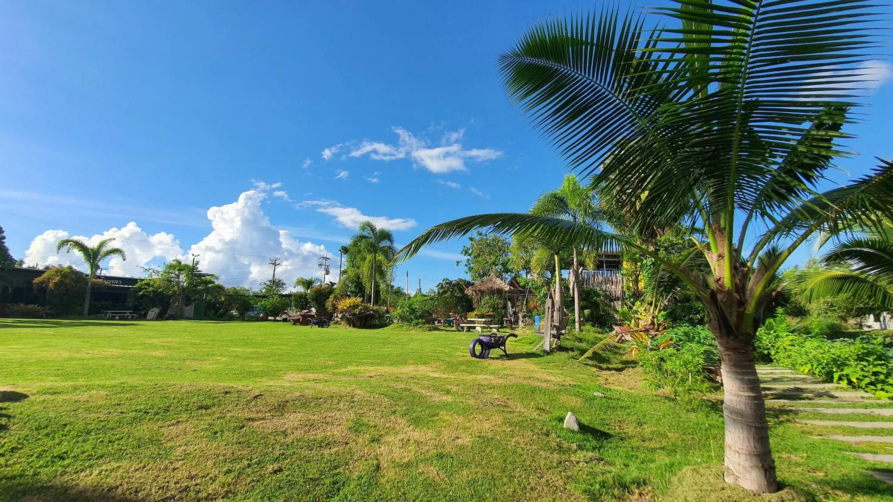 Garden in Phalagoon Resort