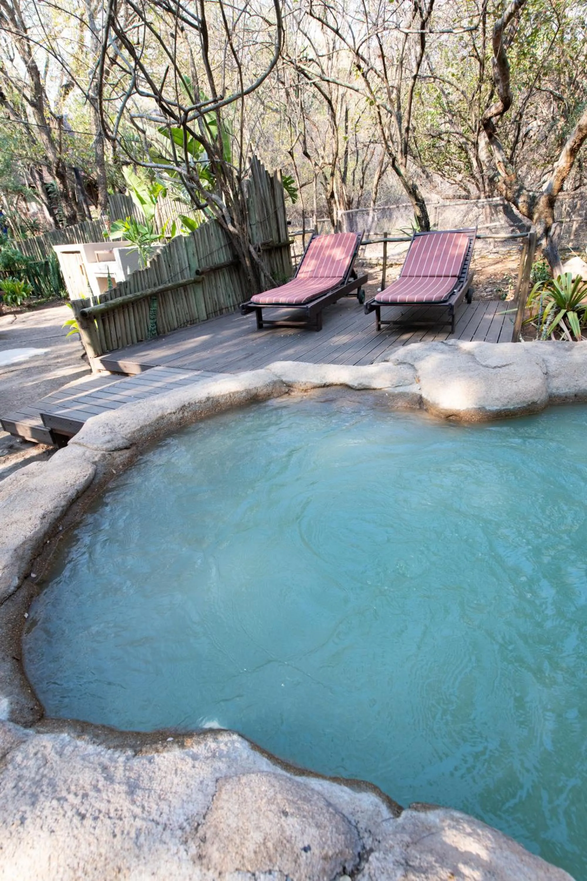 Swimming pool in Blyde River Canyon Lodge