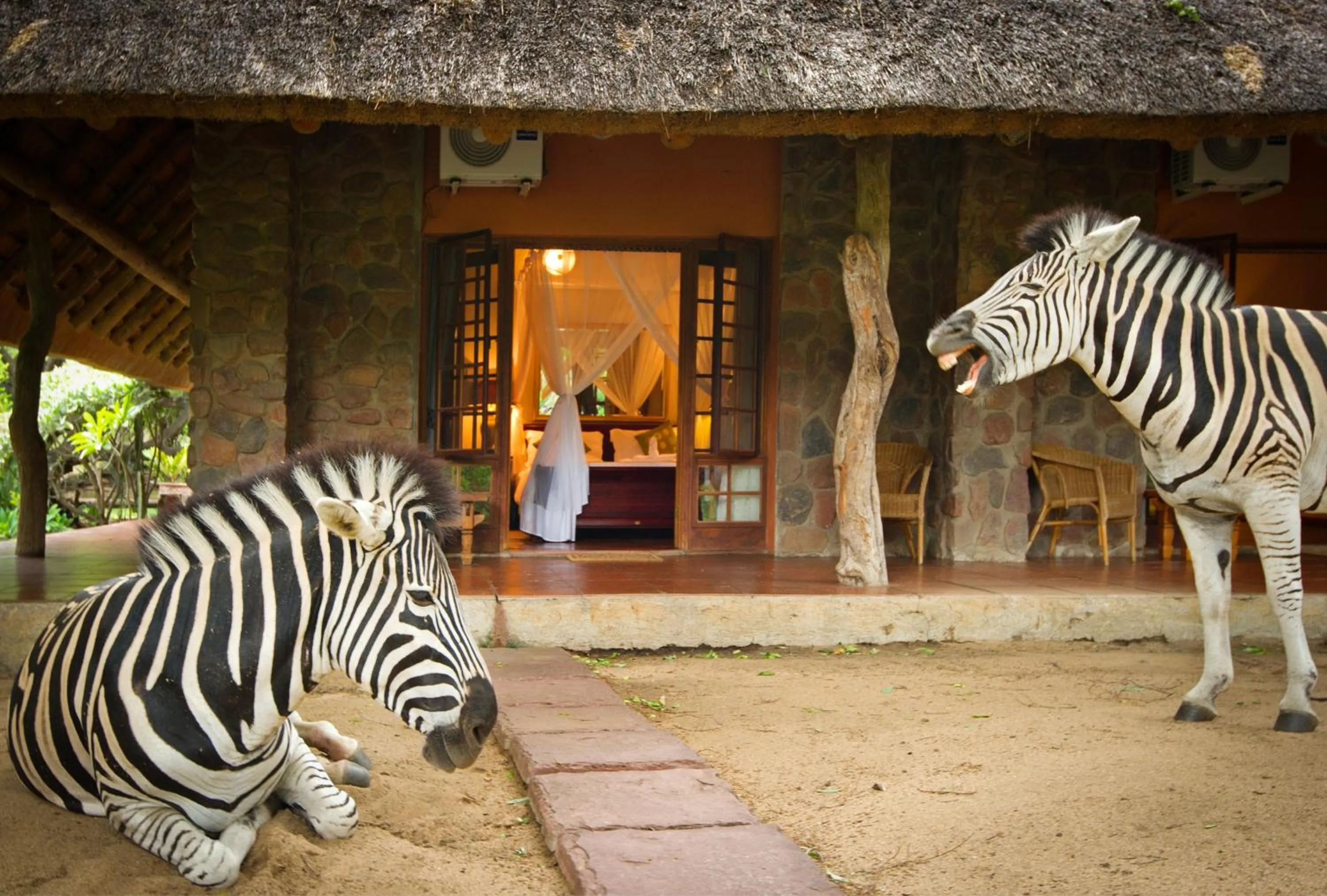 Animals in Blyde River Canyon Lodge