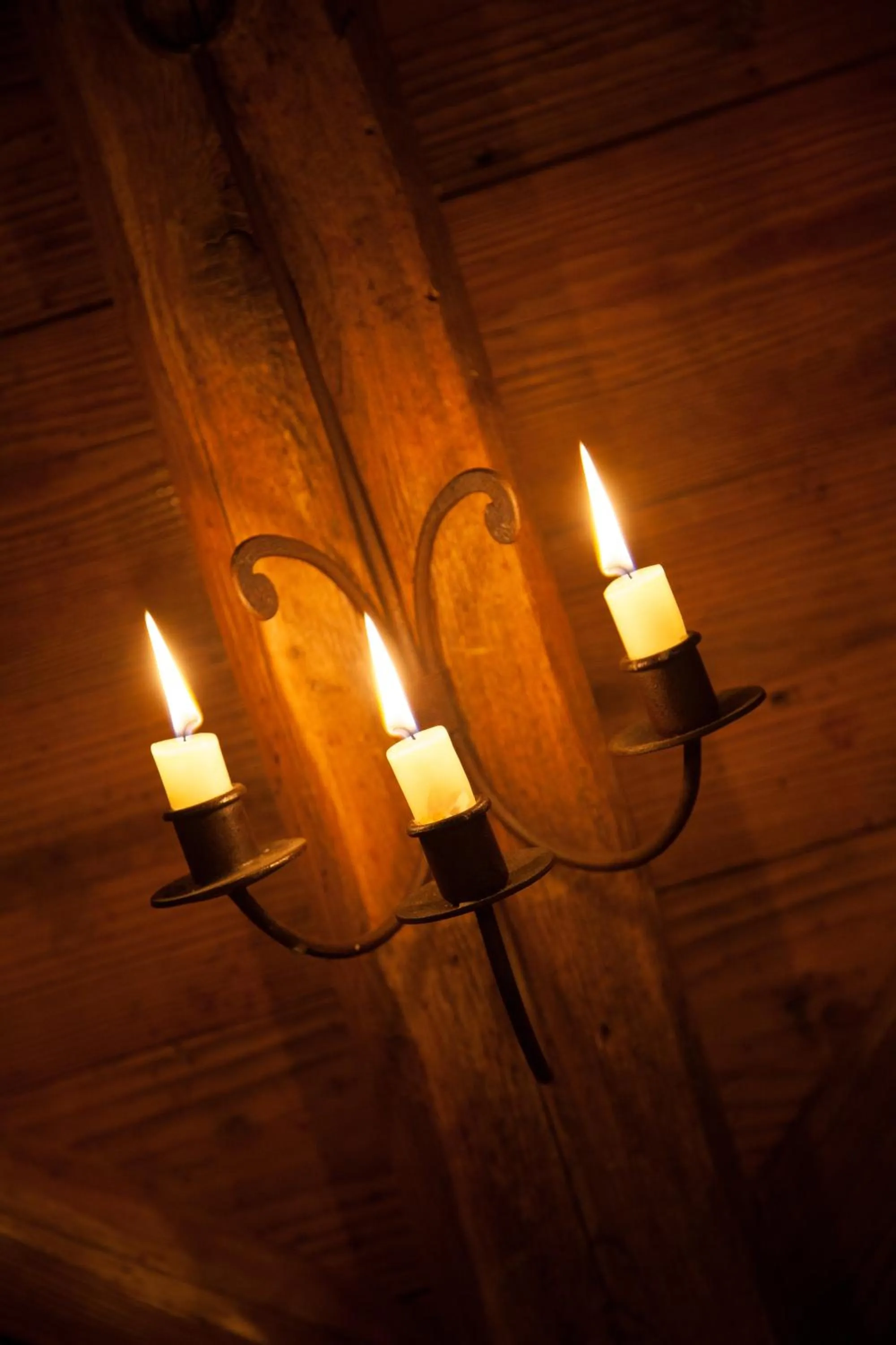 Decorative detail in Hotel Comfort Erica Dolomiti Val d'Adige