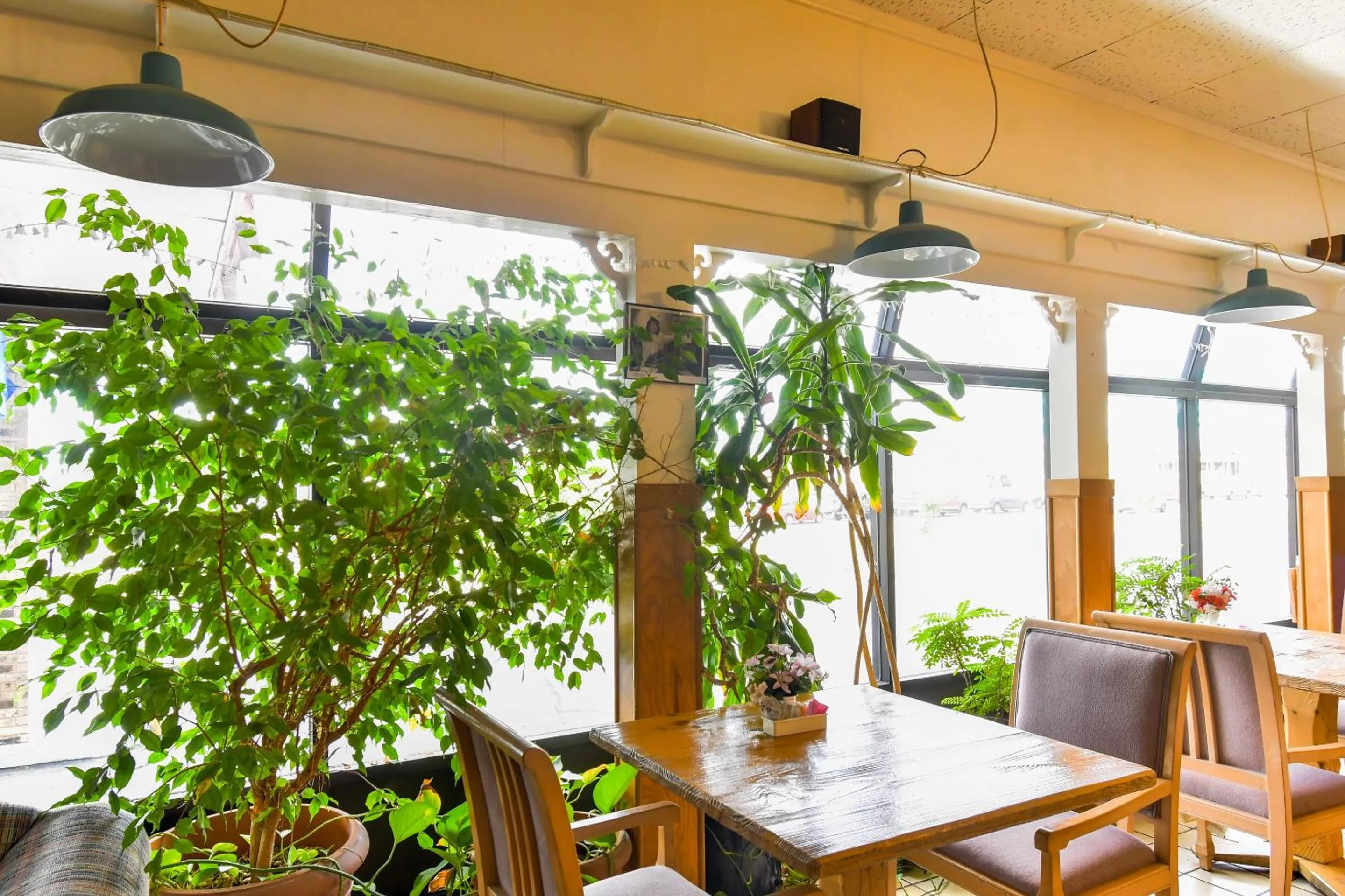 Dining area in OYO Hotel Tyler Lindale