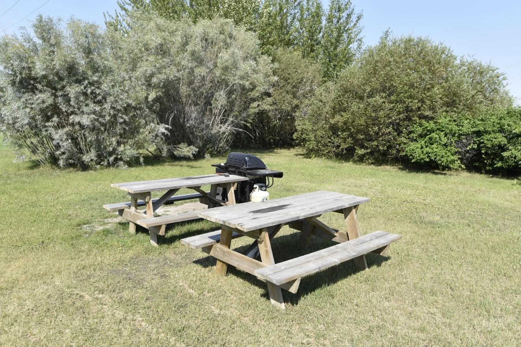 BBQ facilities in Tropical Inn - North Battleford