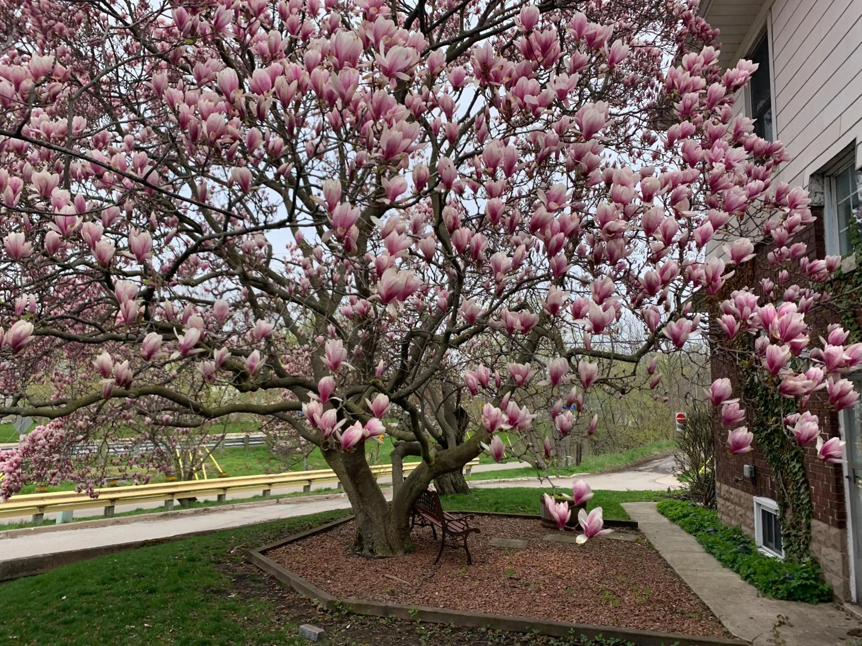 Garden in Strathaird Bed and Breakfast