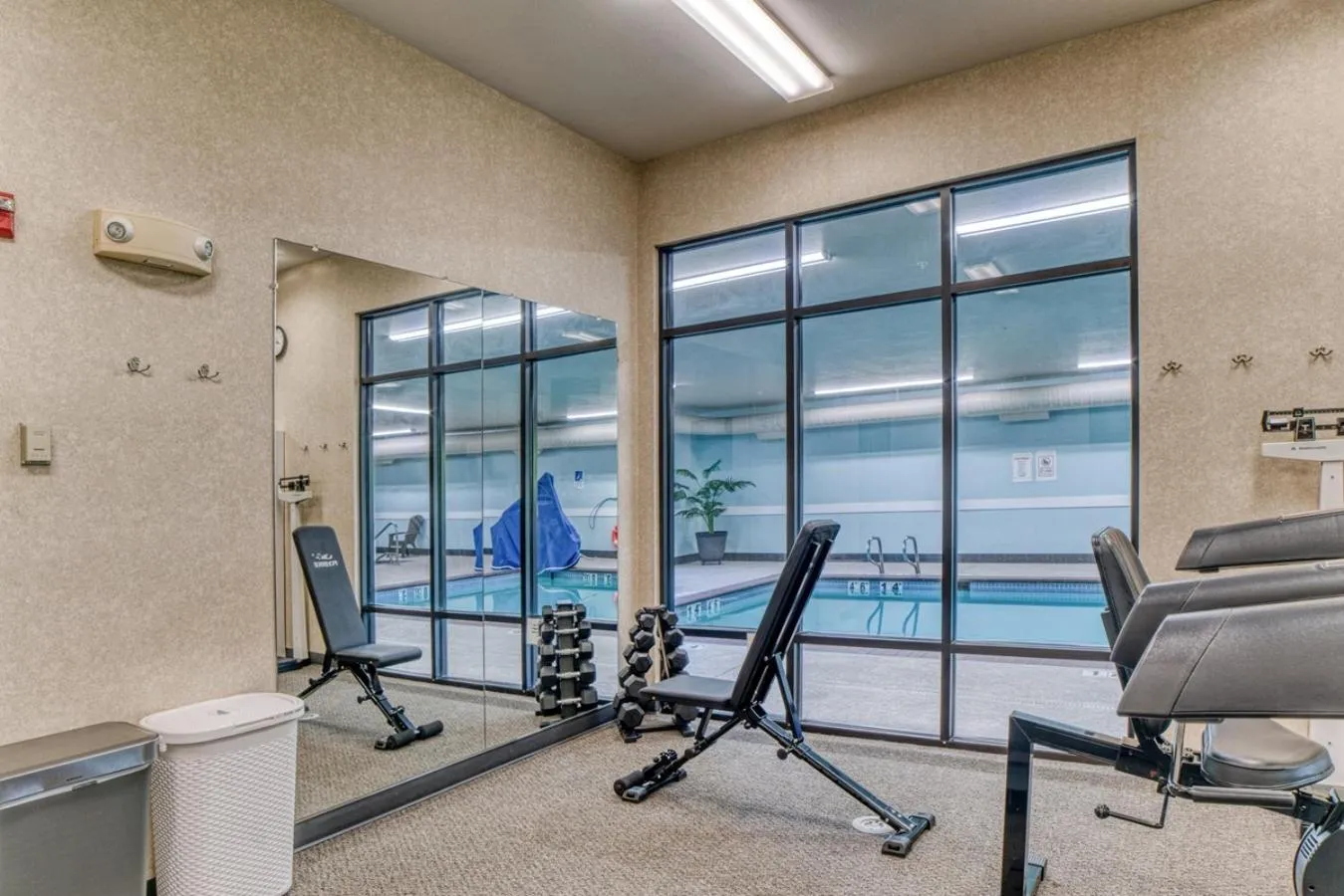 Fitness centre/facilities in Evergreen Inn & Suites