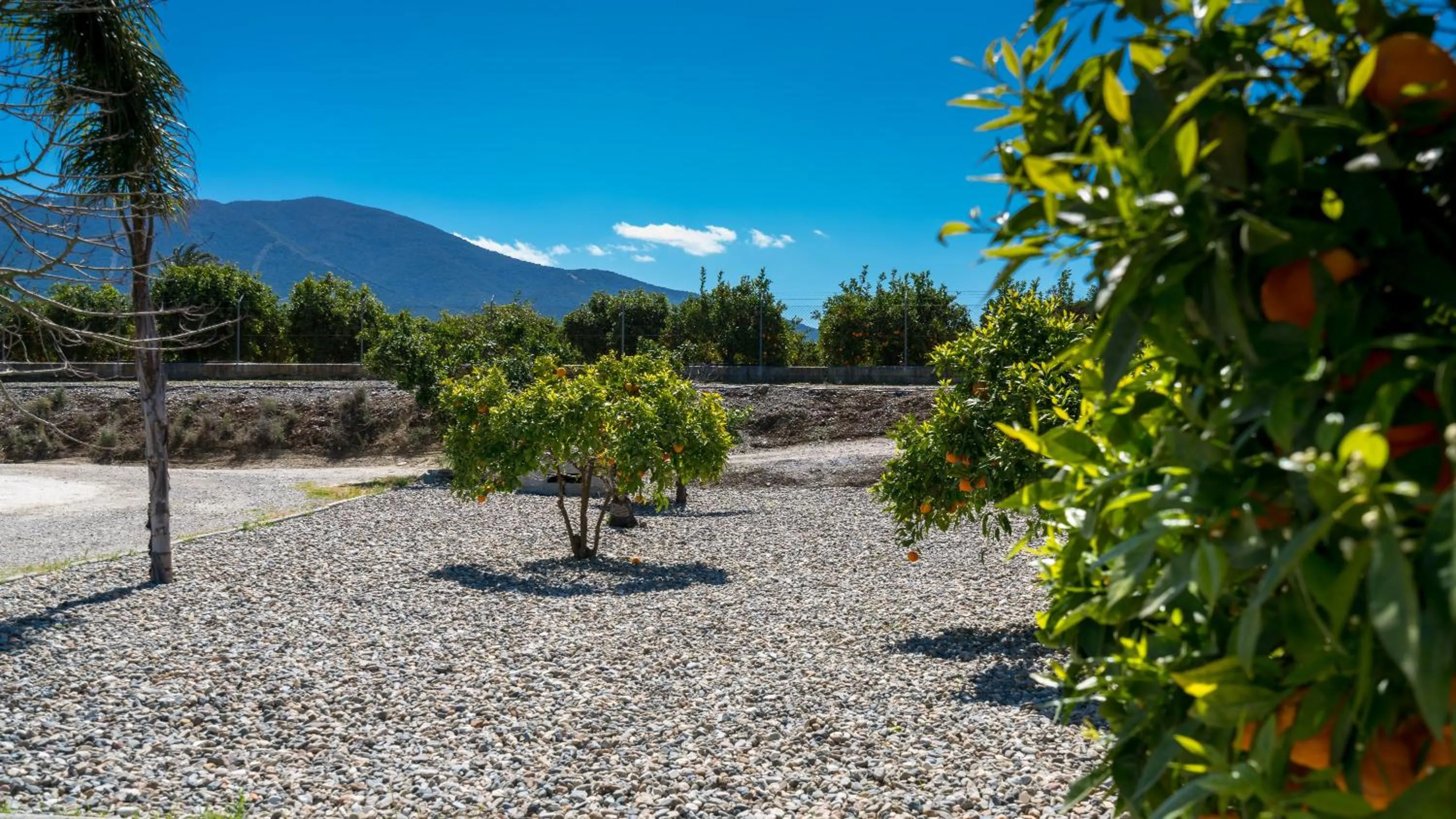 Garden in Casa Baliza, adults only