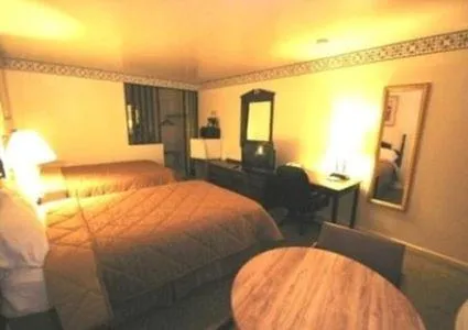 Bed in Budget Host Inn