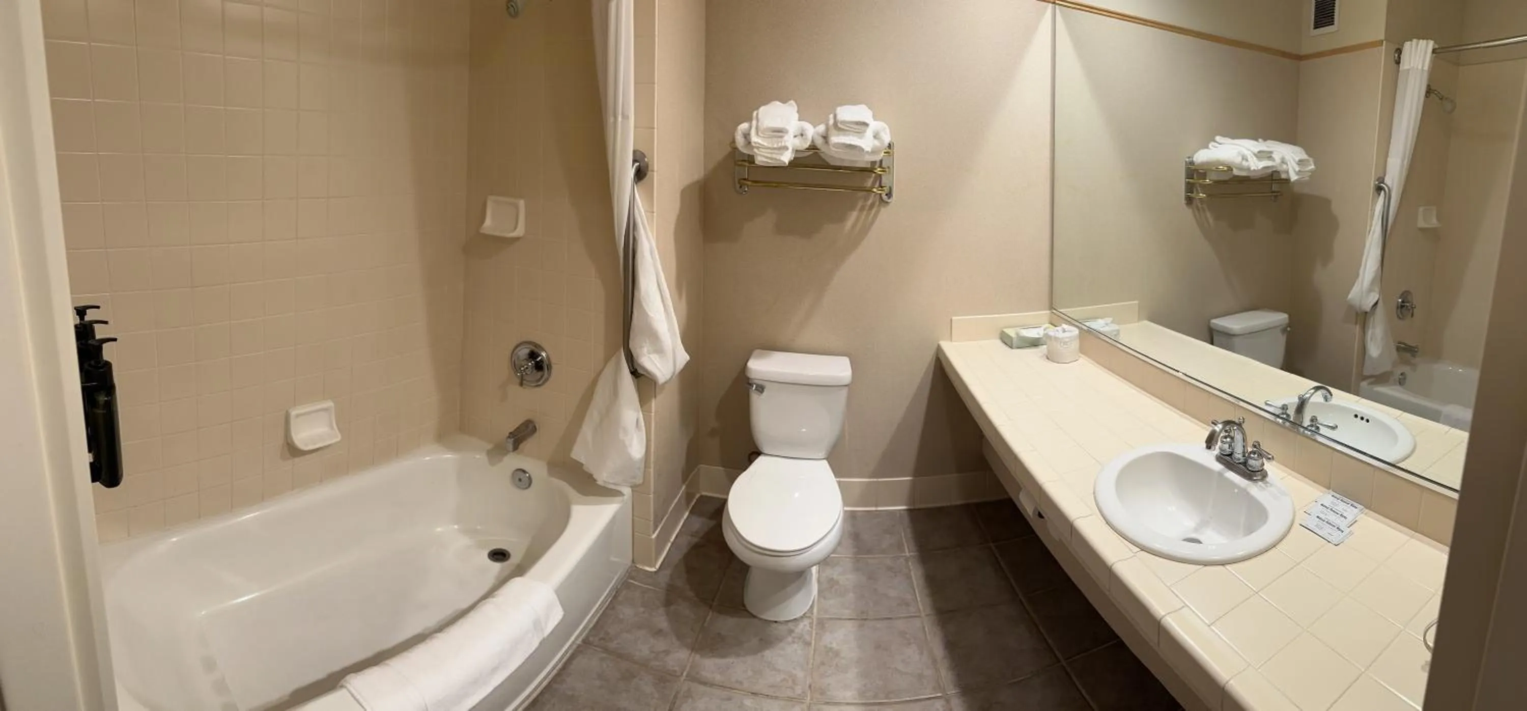 Toilet in Rocklin Park Hotel, Trademark Collection by Wyndham