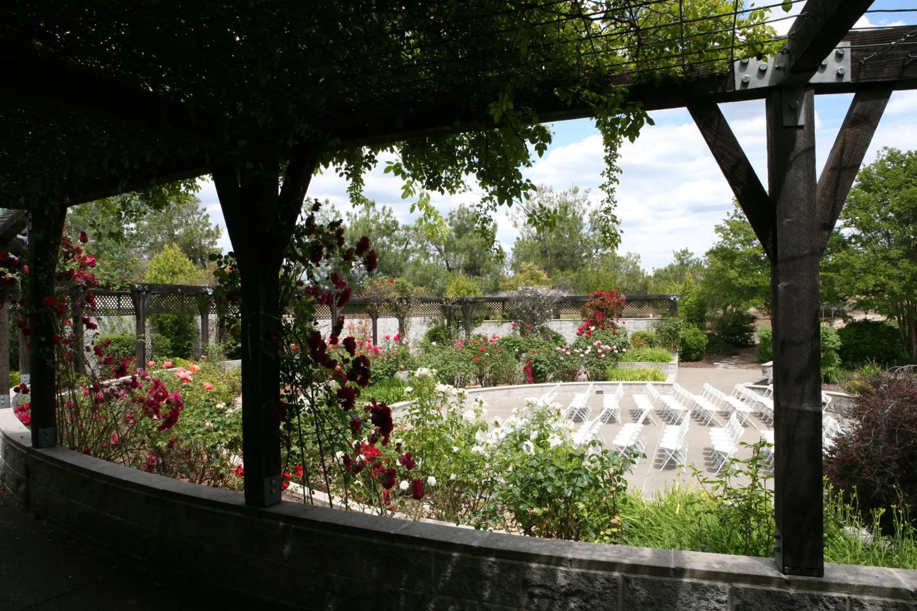 Garden in Rocklin Park Hotel, Trademark Collection by Wyndham