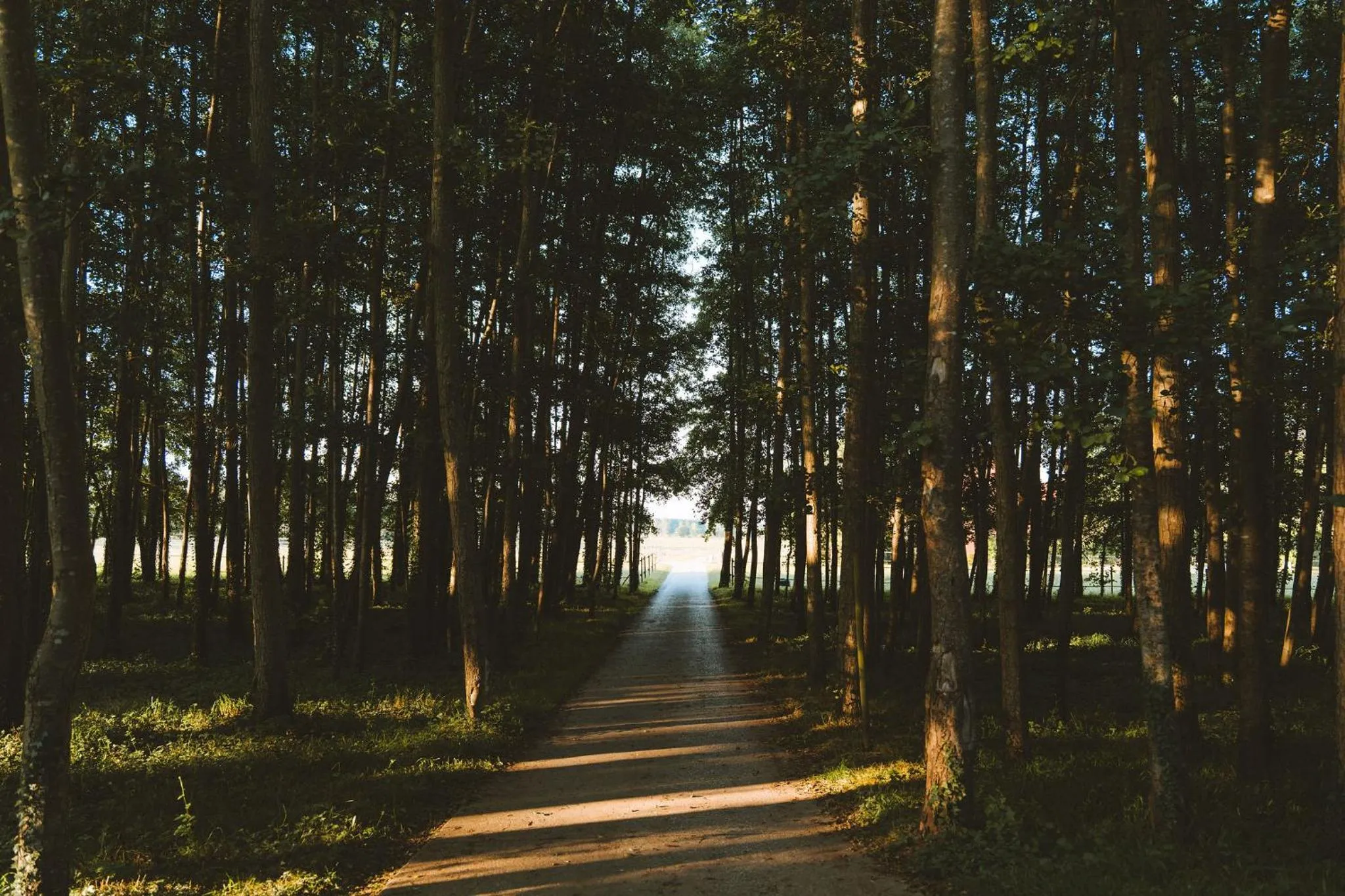 Natural landscape in Le Barn