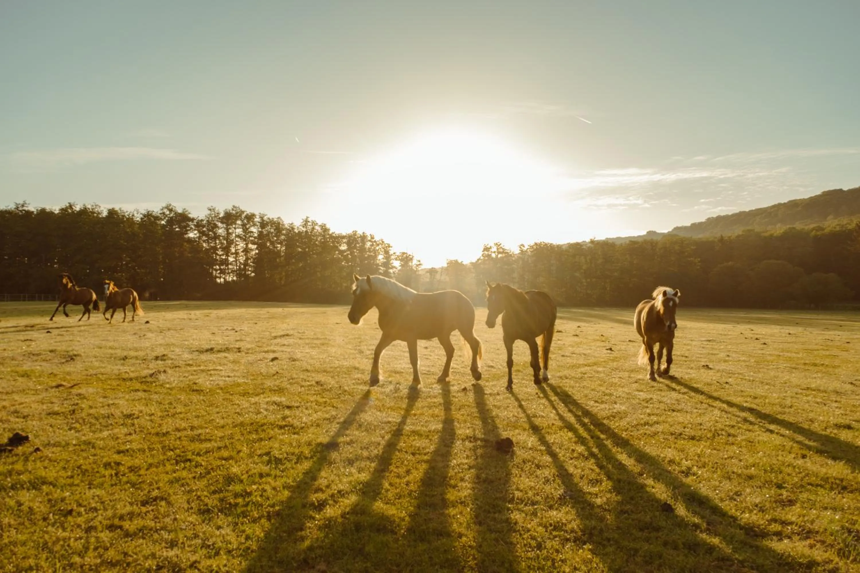 Natural landscape in Le Barn