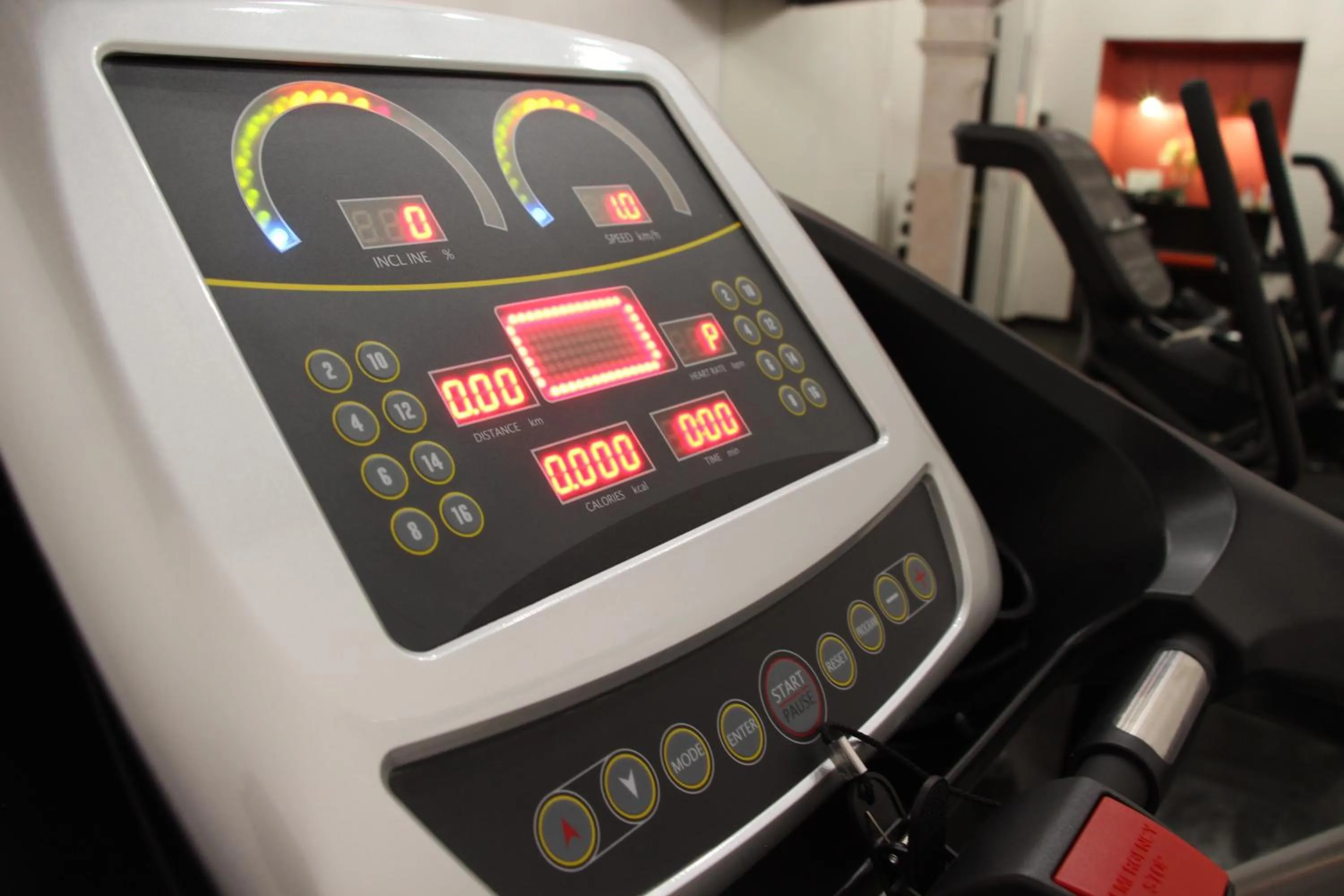 Fitness centre/facilities in Hotel Alameda Centro Historico