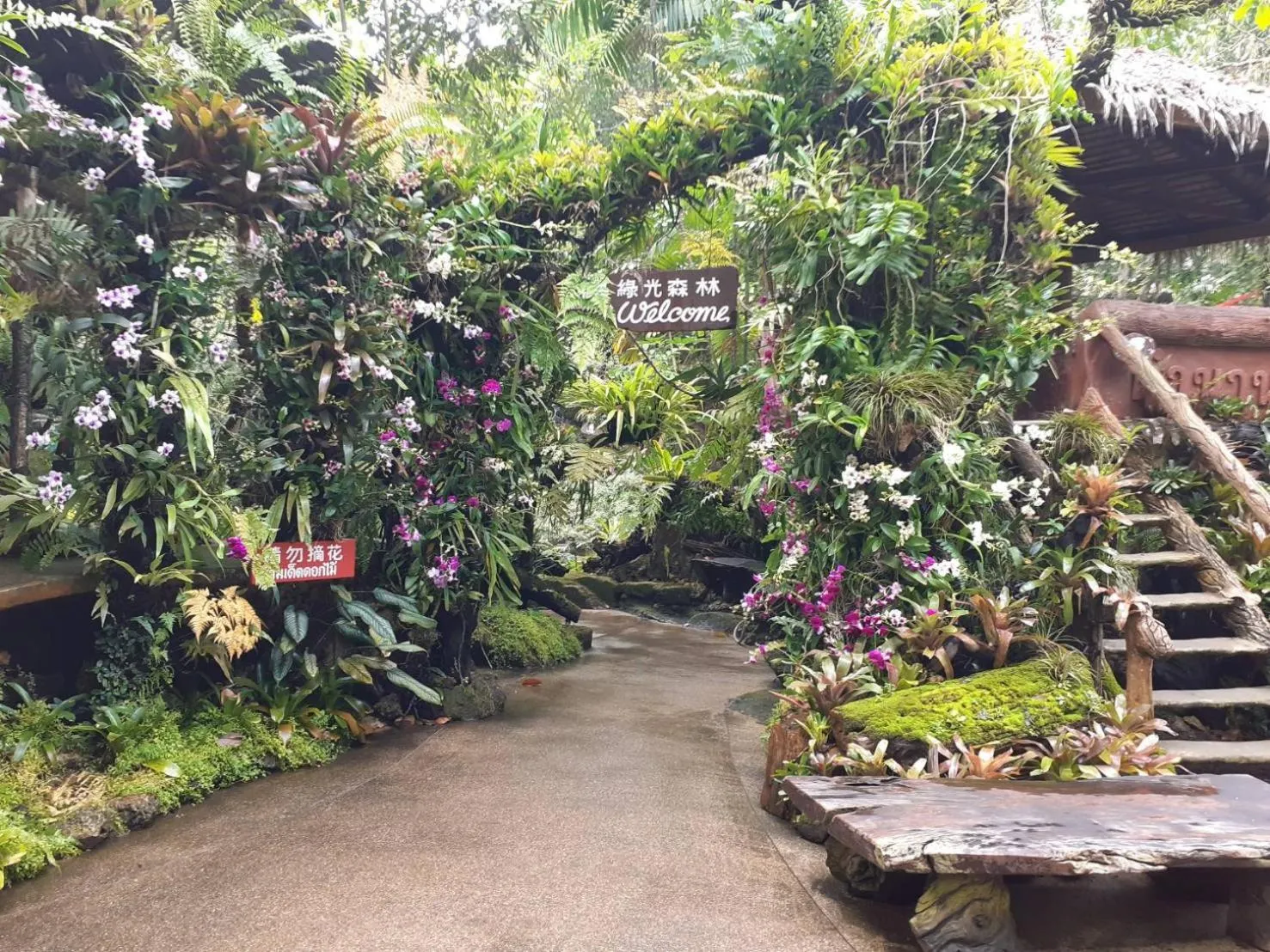 Restaurant/places to eat in Tamnanpar Resort