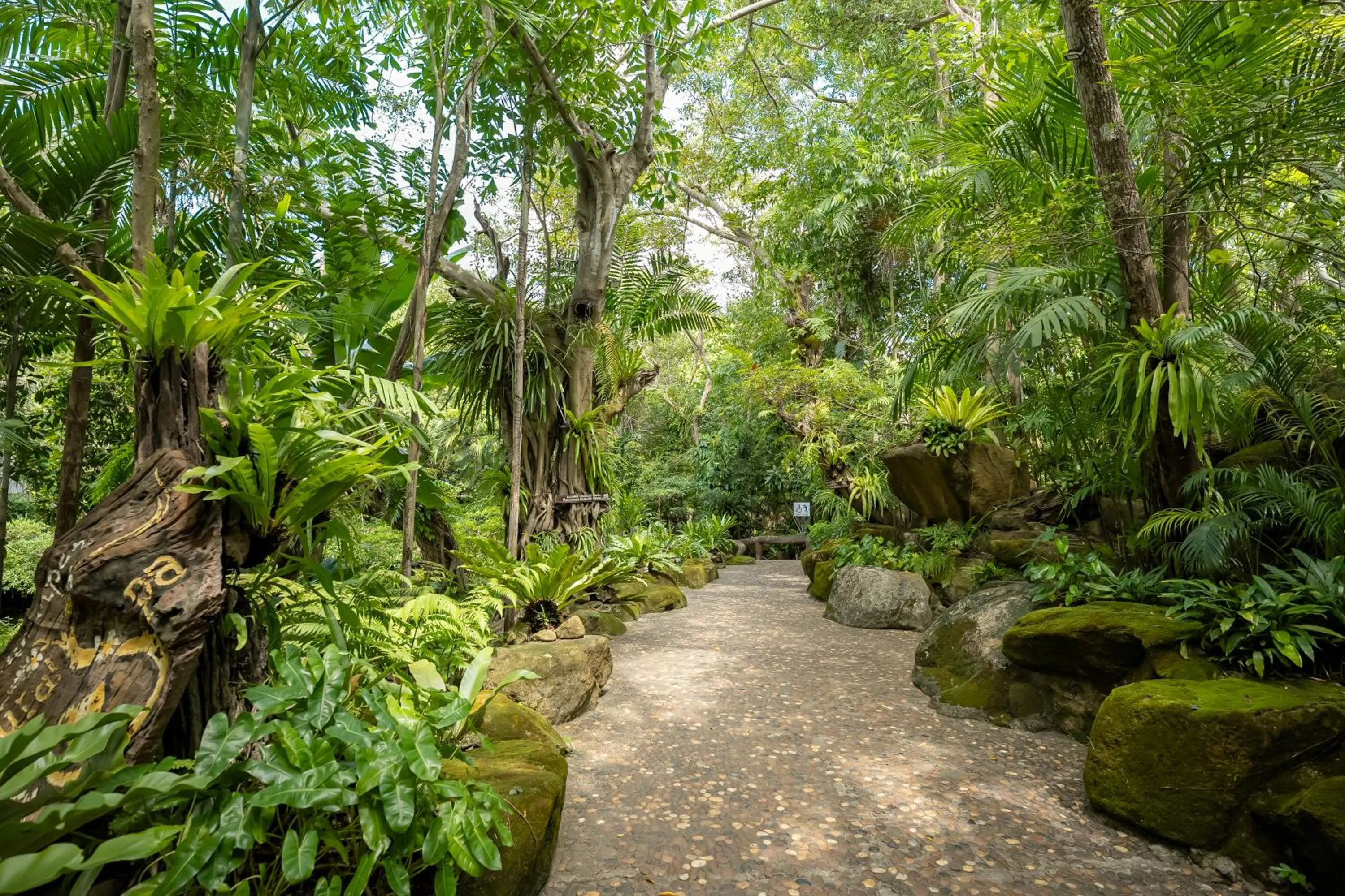 Restaurant/places to eat in Tamnanpar Resort