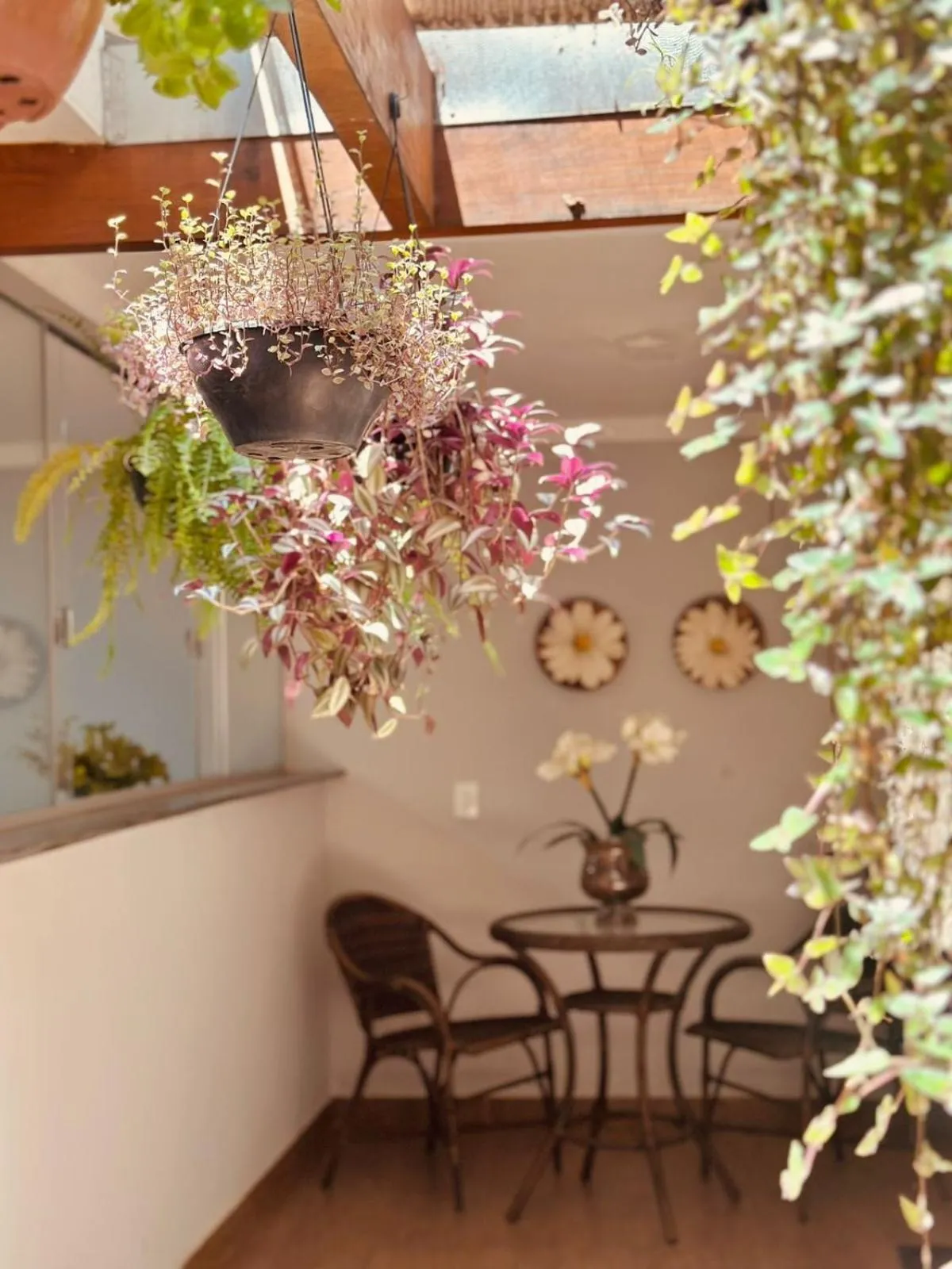 Garden in Skalla Hotel Nova Odessa