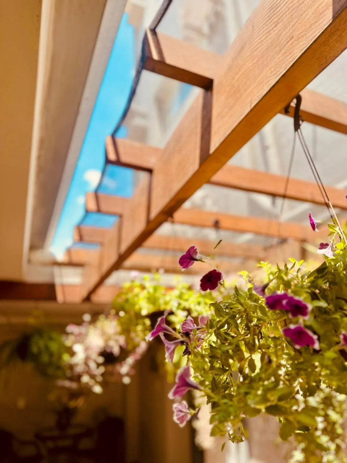 Garden in Skalla Hotel Nova Odessa