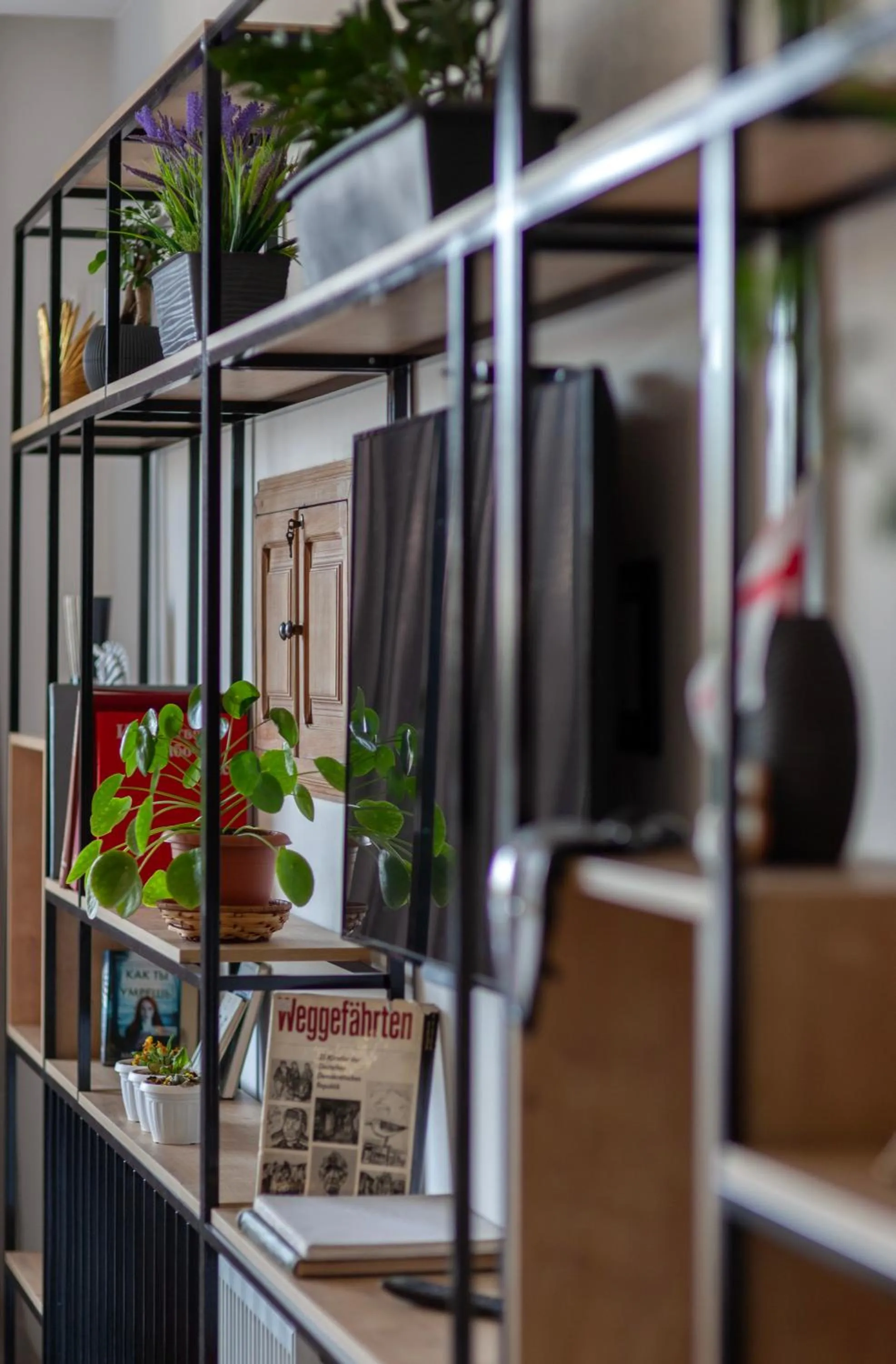 Area and facilities in Alliance Hotel