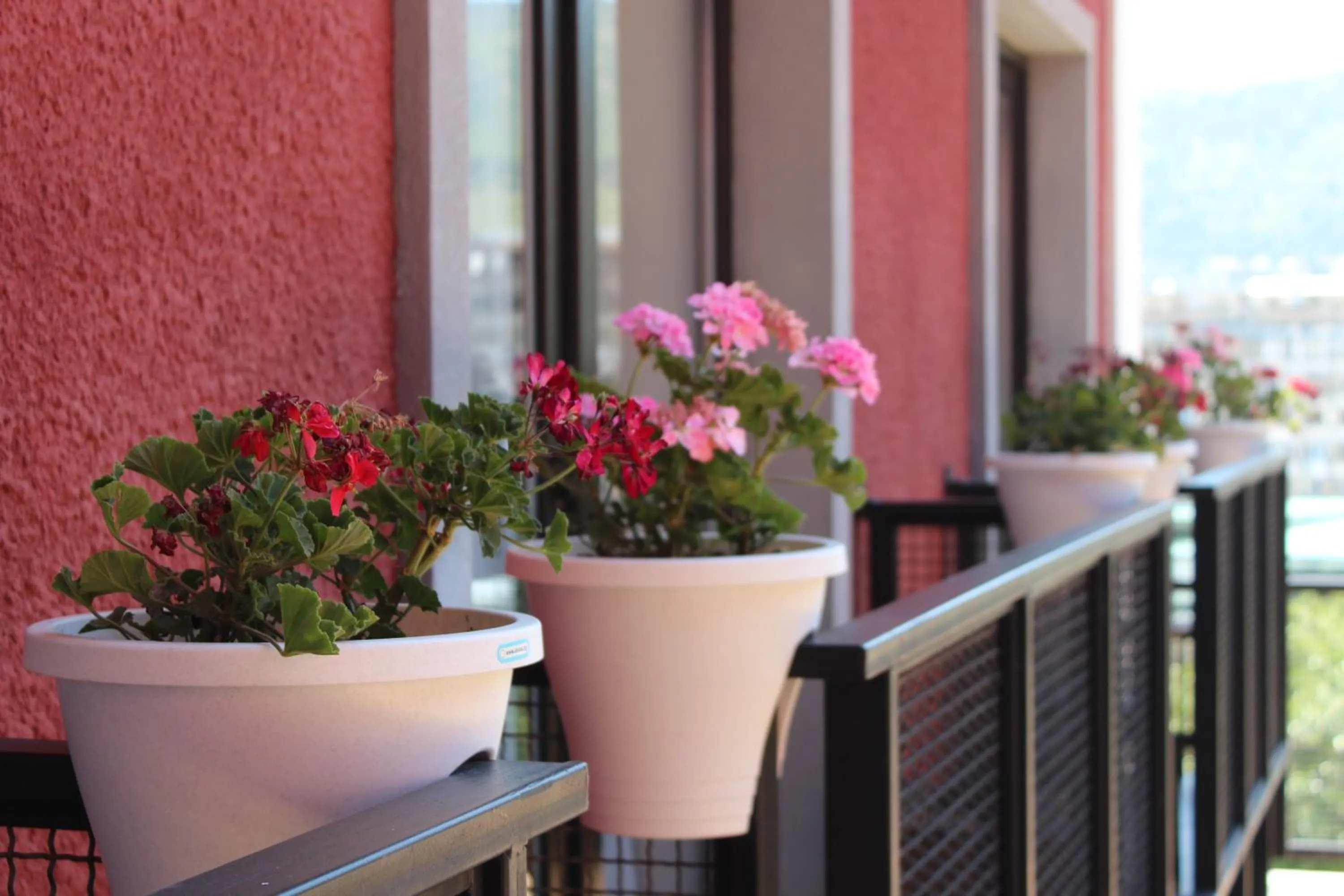 Balcony/Terrace in Alliance Hotel