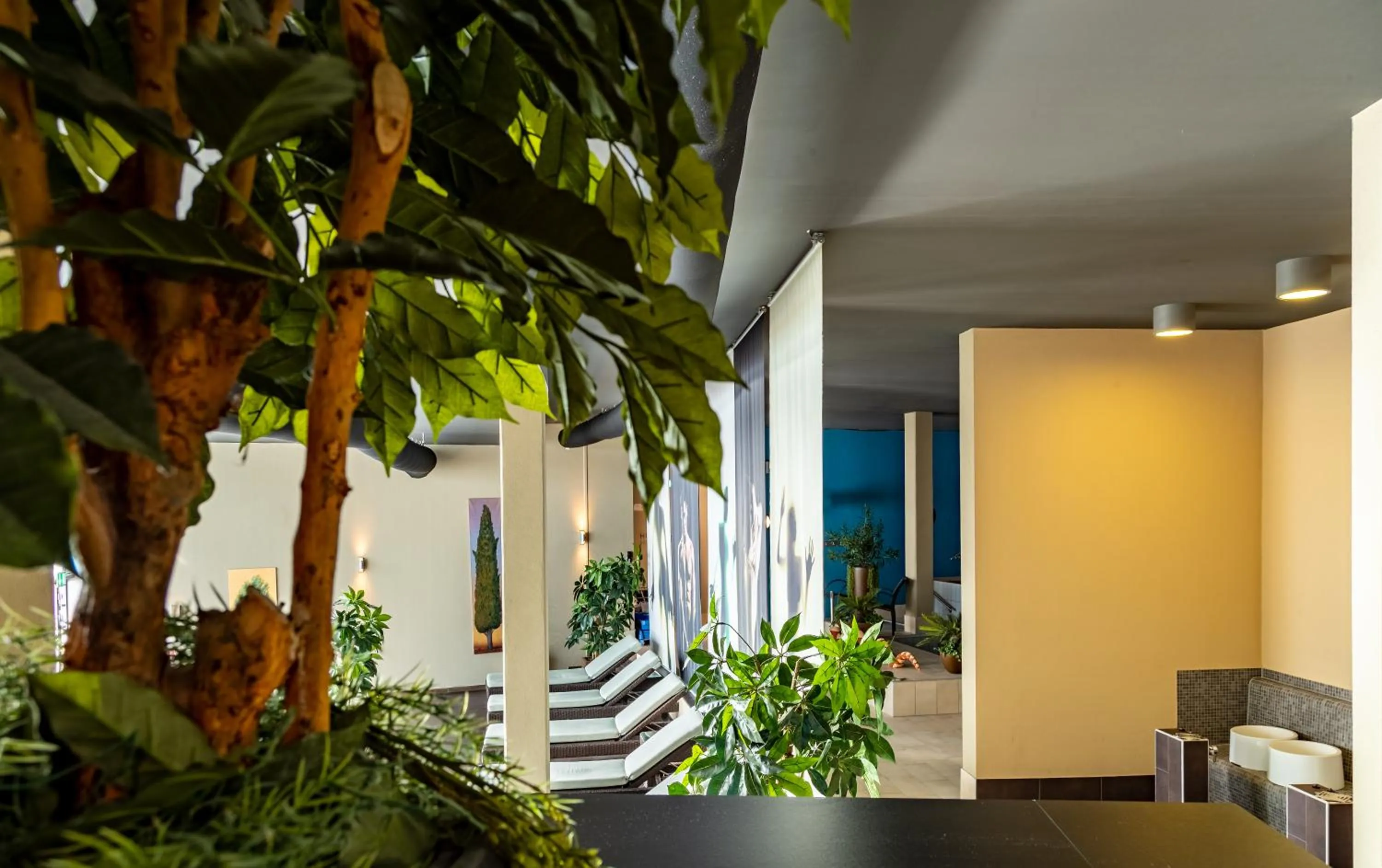 Spa and wellness centre/facilities in Hotel Oversum Winterberg Ski- und Vital Resort