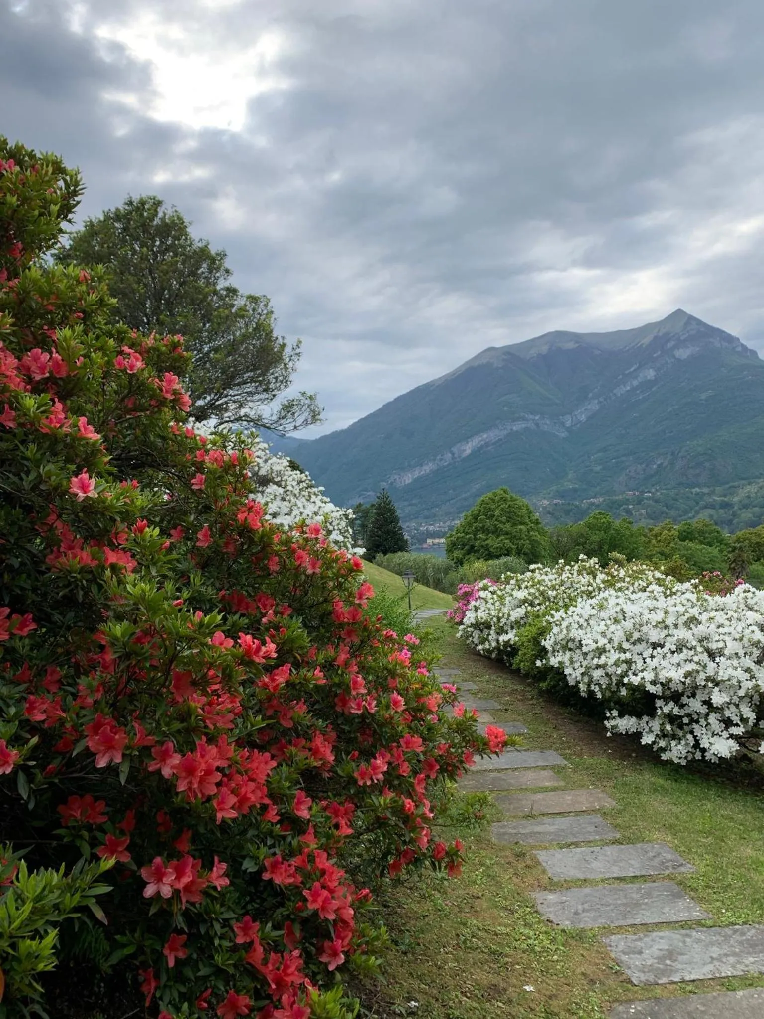 Garden view in Il Poggio Di Bellagio