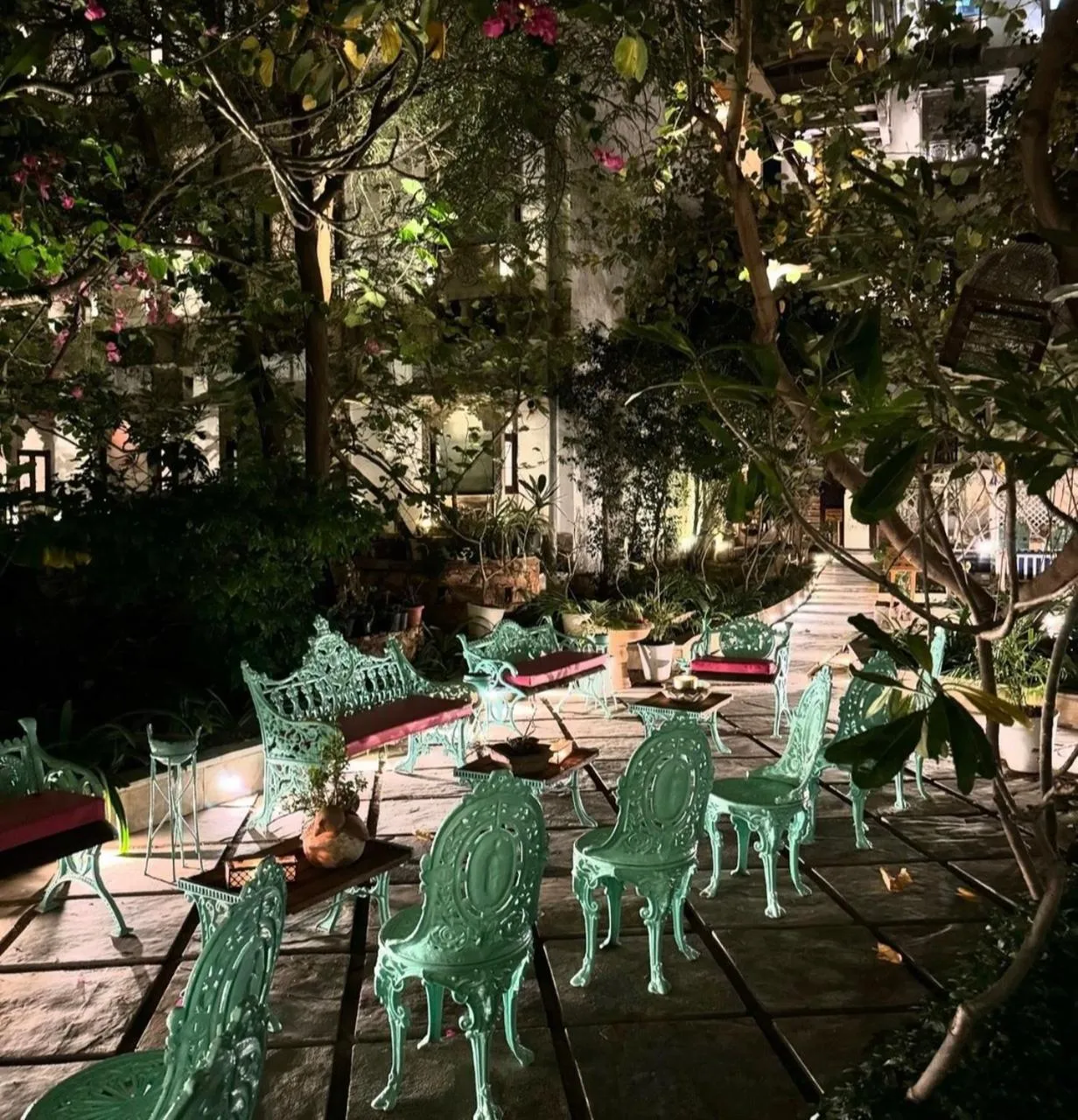 Garden in Hotel Udai Kothi