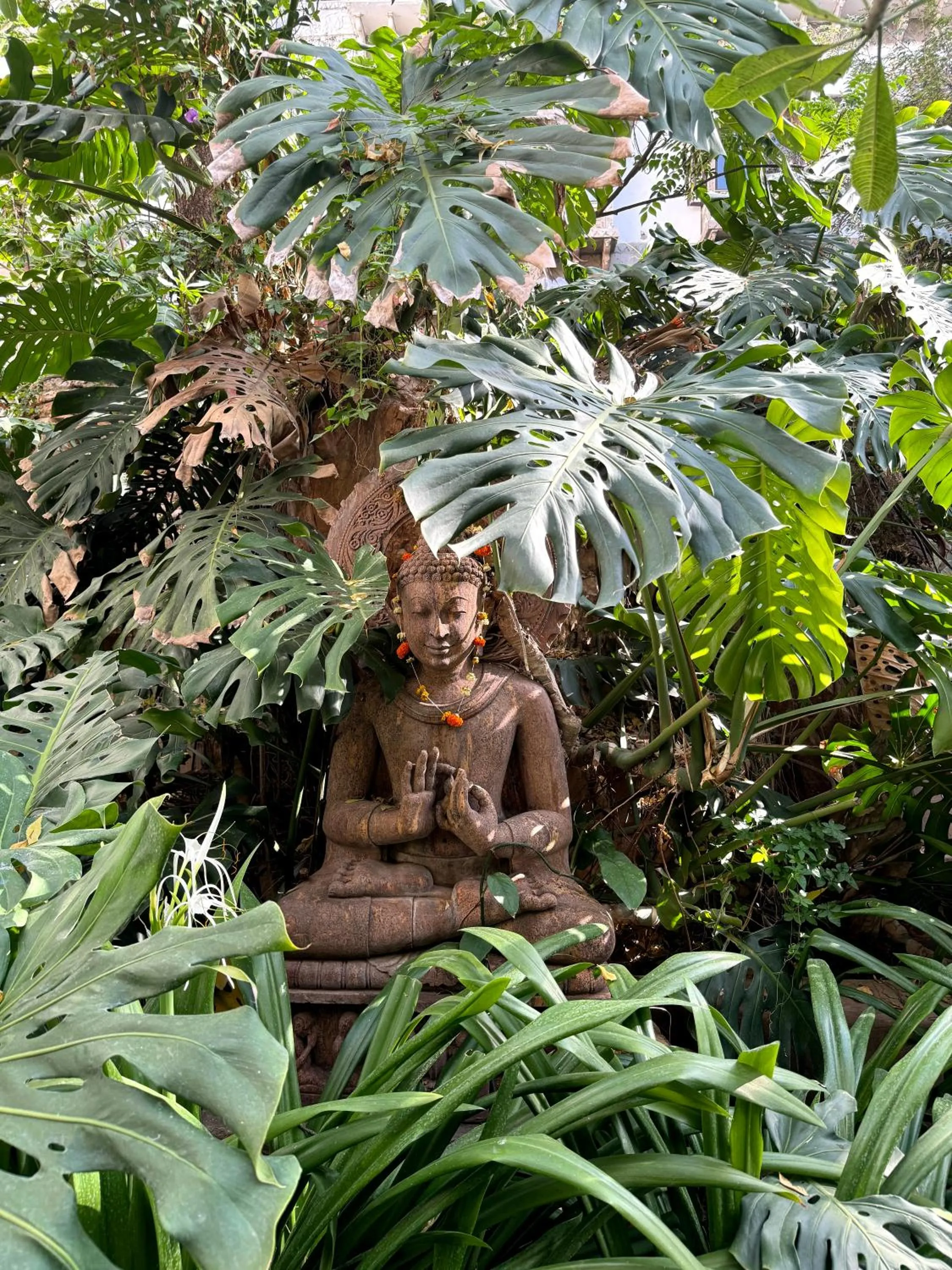 Garden in Hotel Udai Kothi