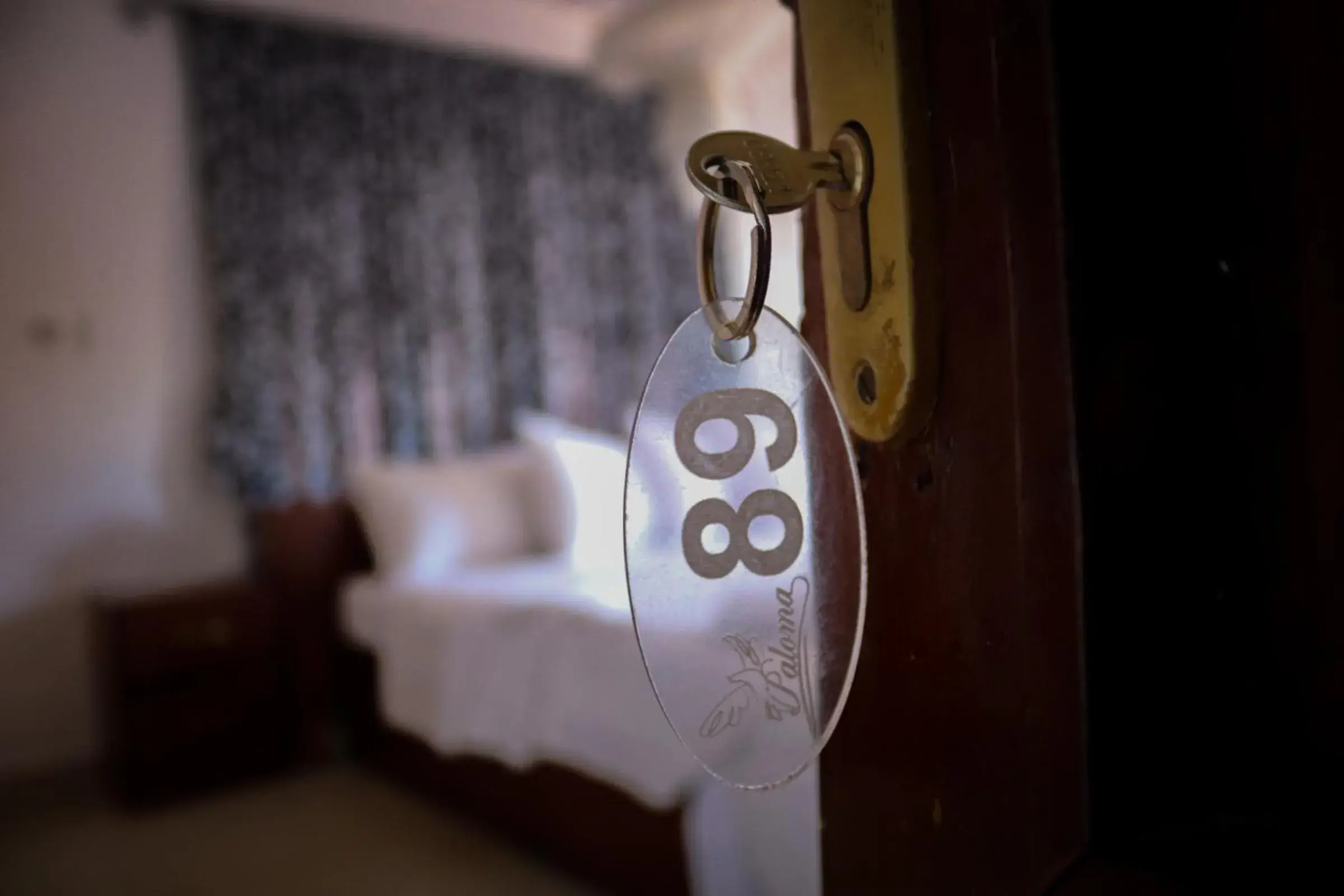 Executive Suite in Paloma Guest House Executive Suite in Paloma Guest House