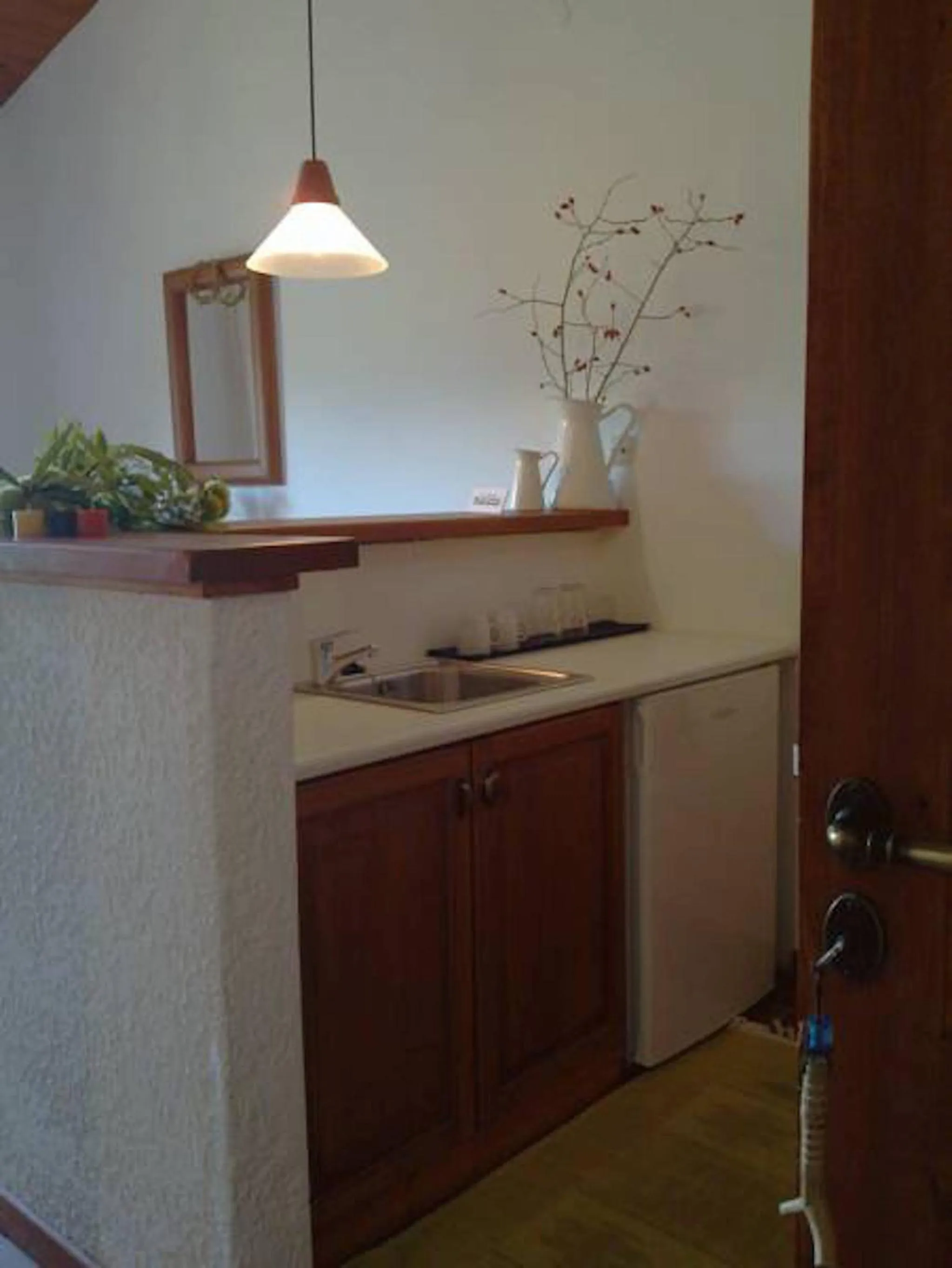 Kitchen or kitchenette in Helicon Muses Friendly Mountain B&B Guesthouse