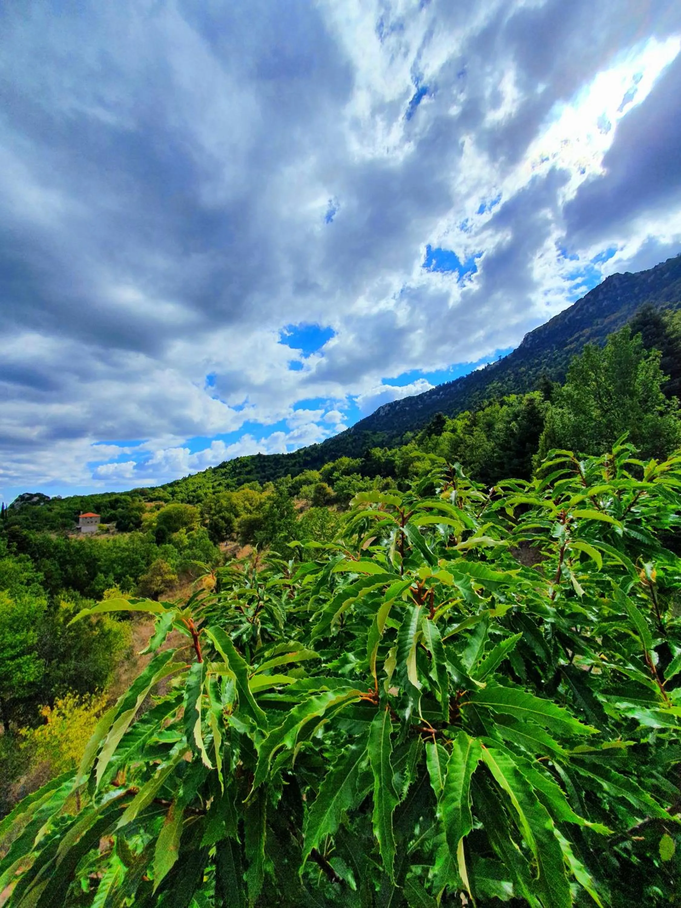 Nearby landmark in Helicon Muses Friendly Mountain B&B Guesthouse