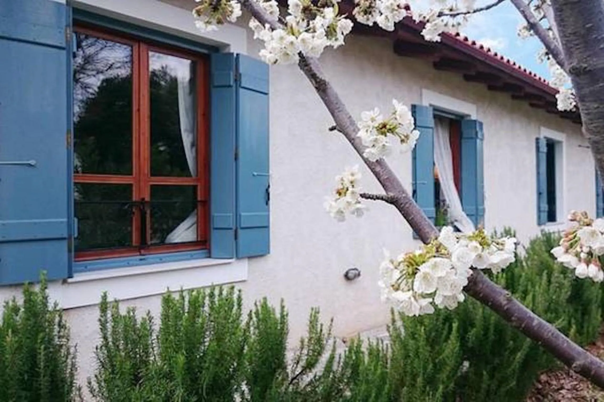 Patio in Helicon Muses Friendly Mountain B&B Guesthouse