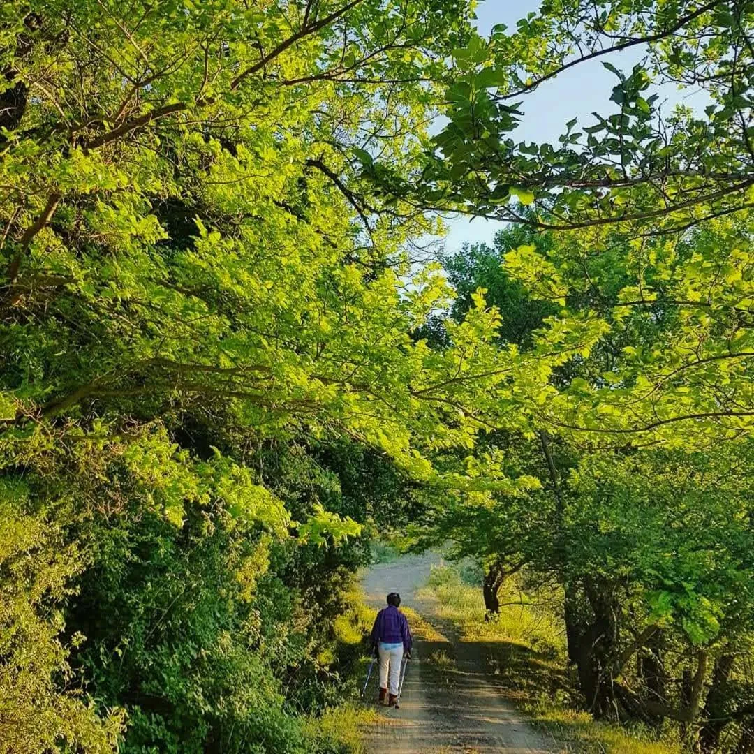 Day in Helicon Muses Friendly Mountain B&B Guesthouse