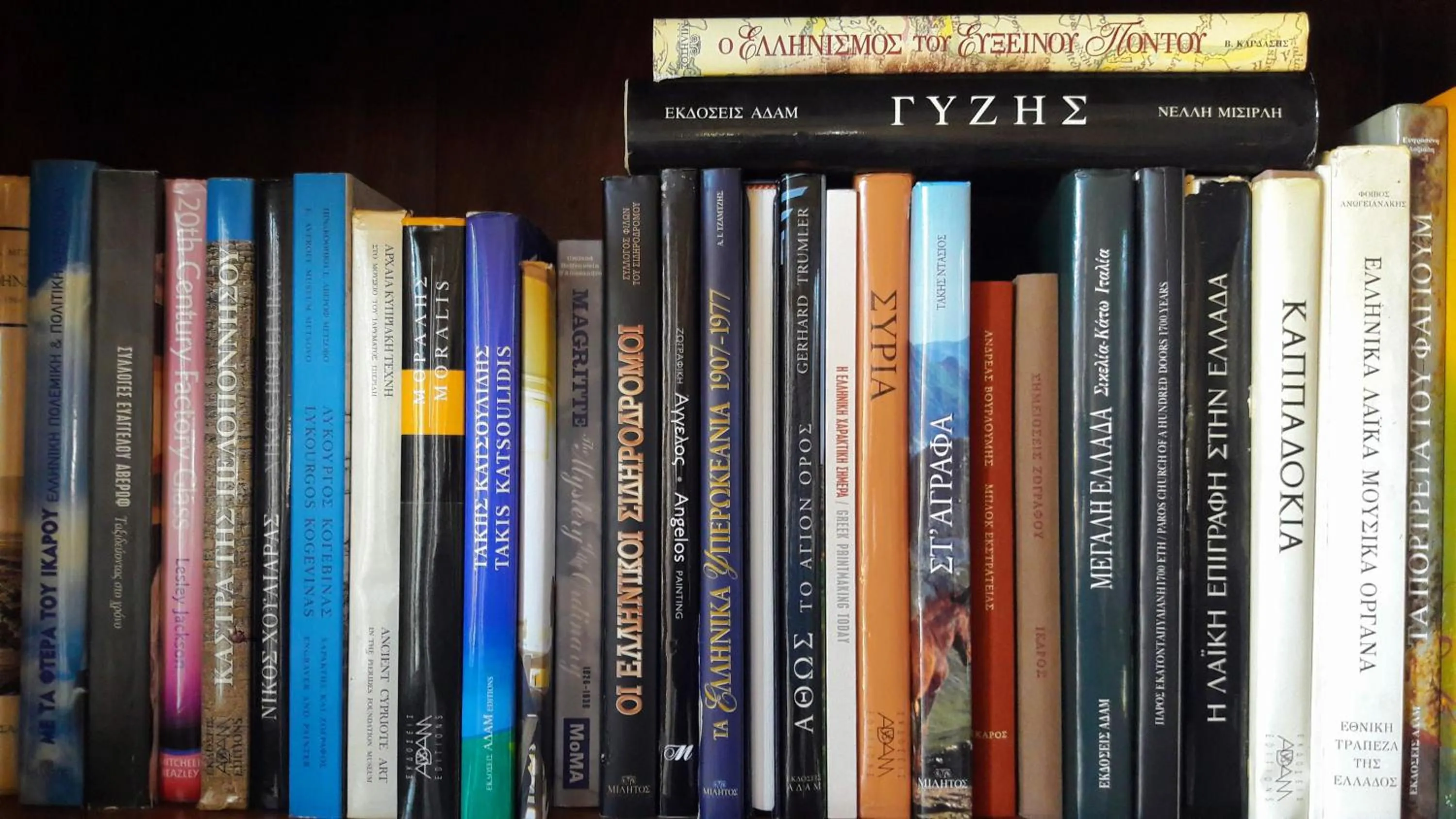 Library in Helicon Muses Friendly Mountain B&B Guesthouse